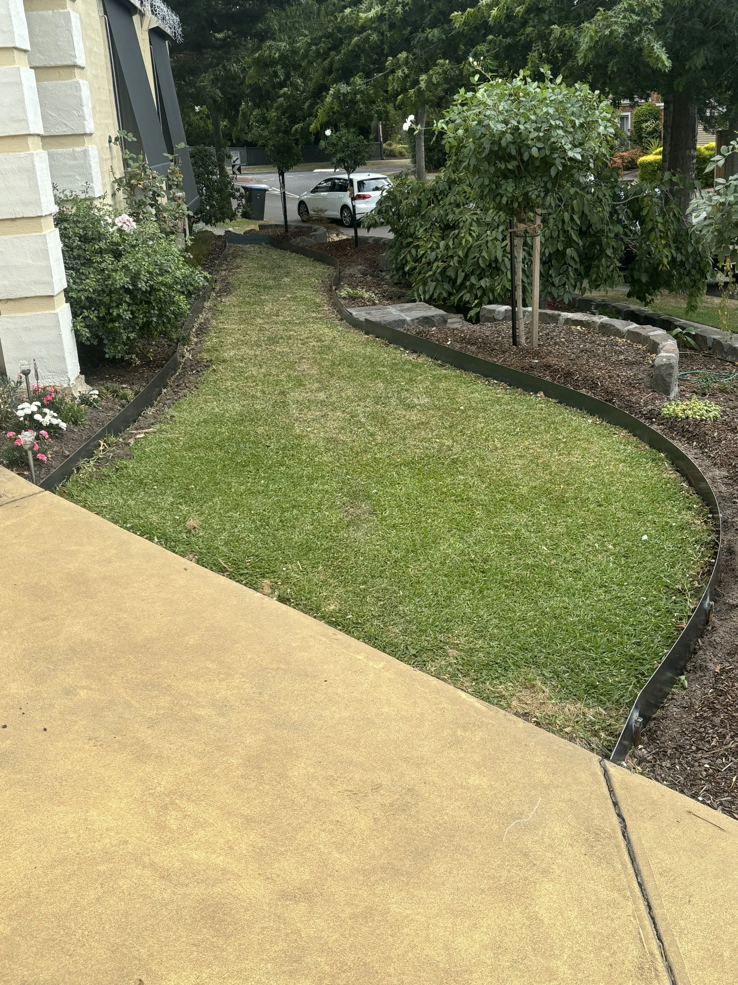 View of a small, curving green lawn bordered by soil and plants, with a sidewalk in the foreground 