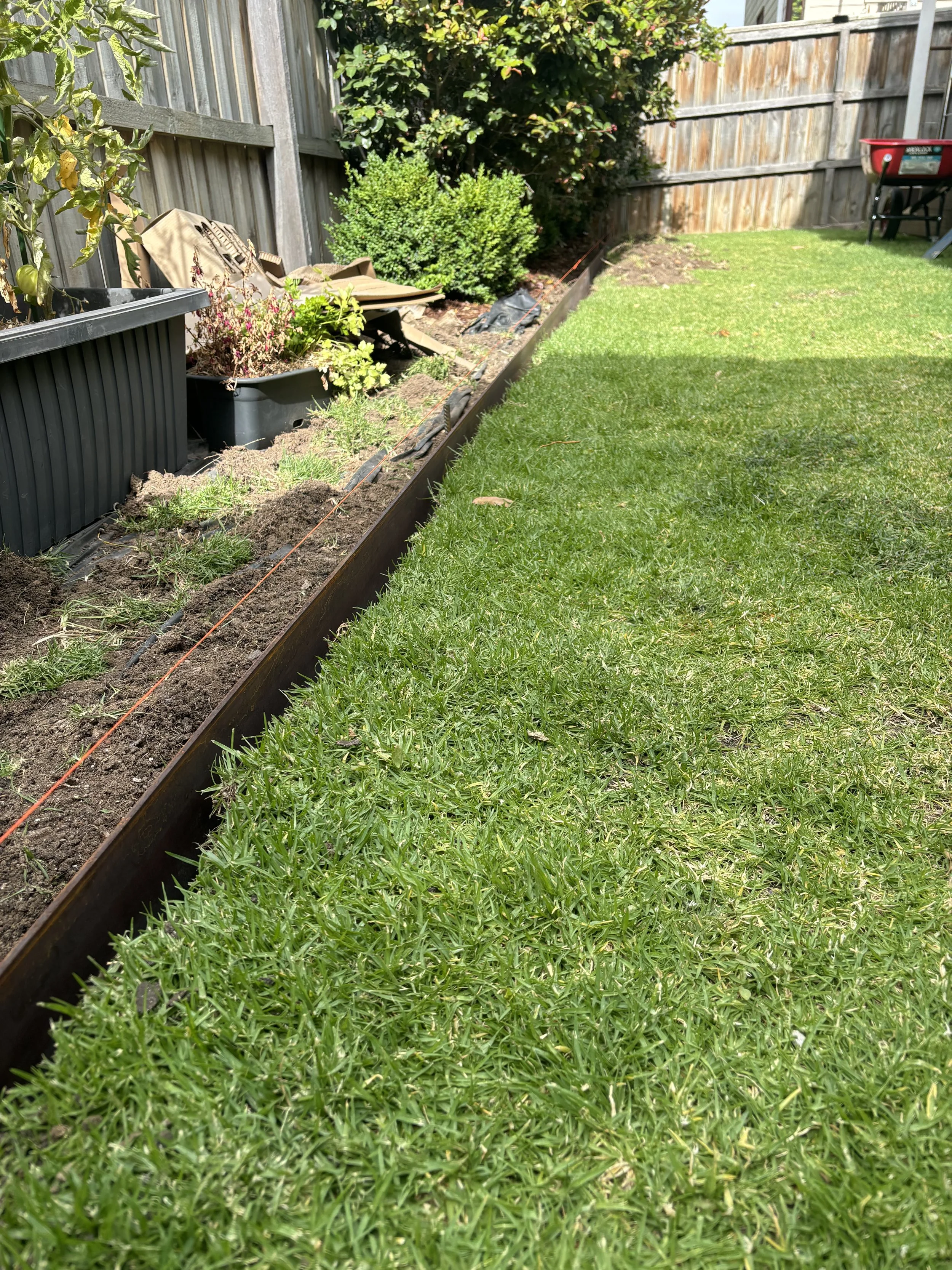 A backyard garden with newly planted flowers along the edge of a lawn, separated by a steel edging