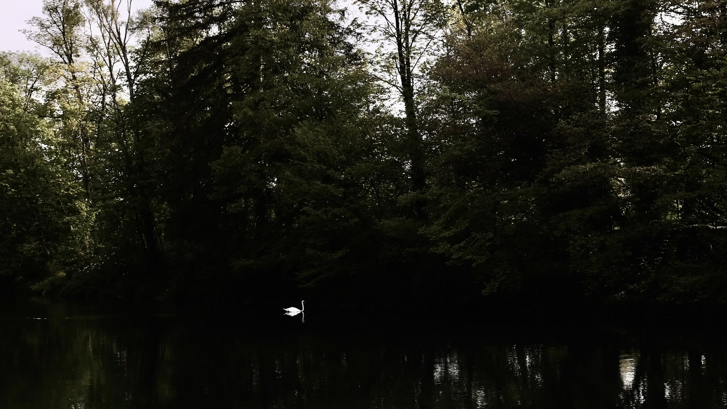 DSCF2761.JPG