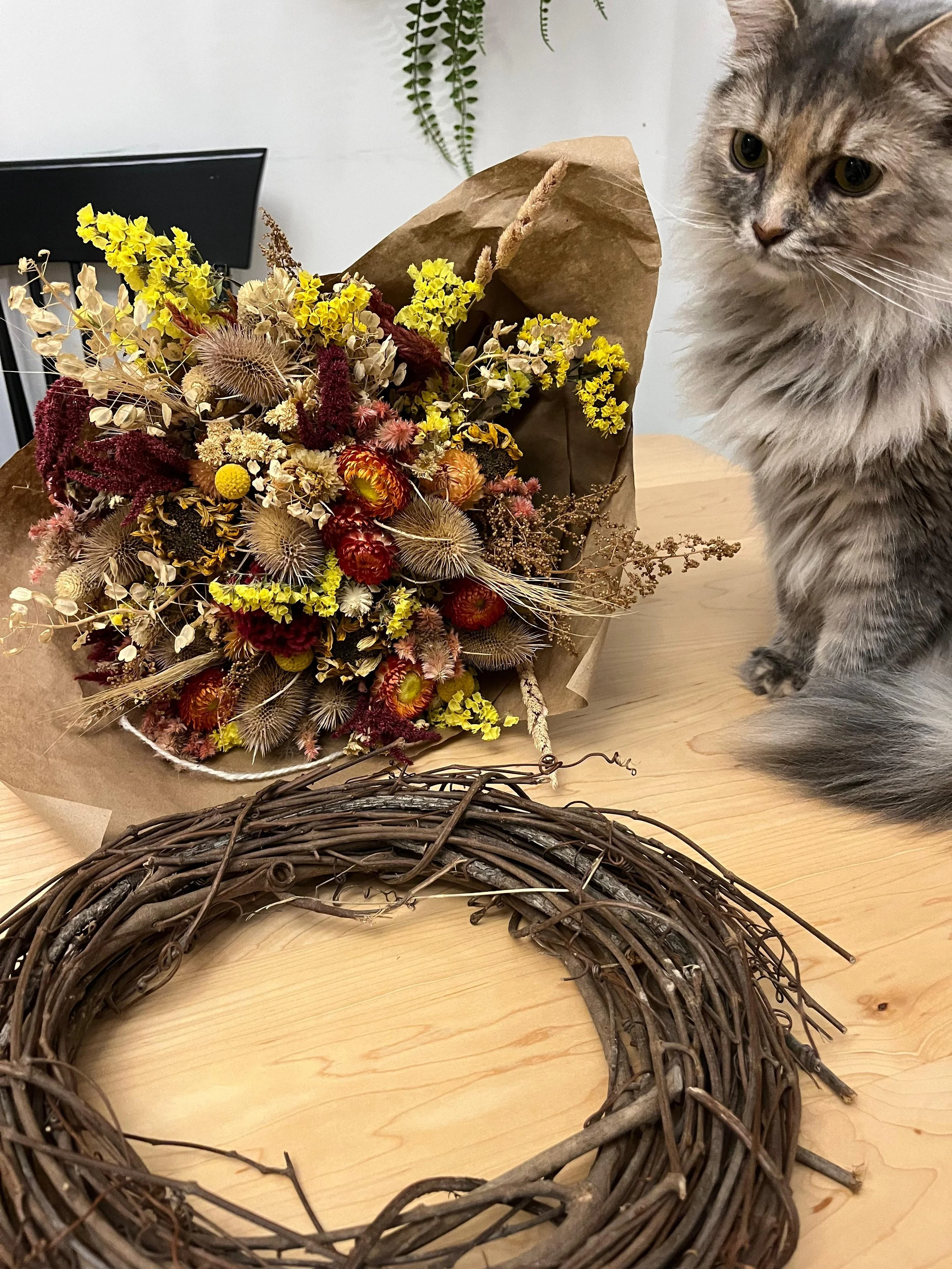 WhatsApp Image 2025-08-29 at 15.26.47 (1).jpeg