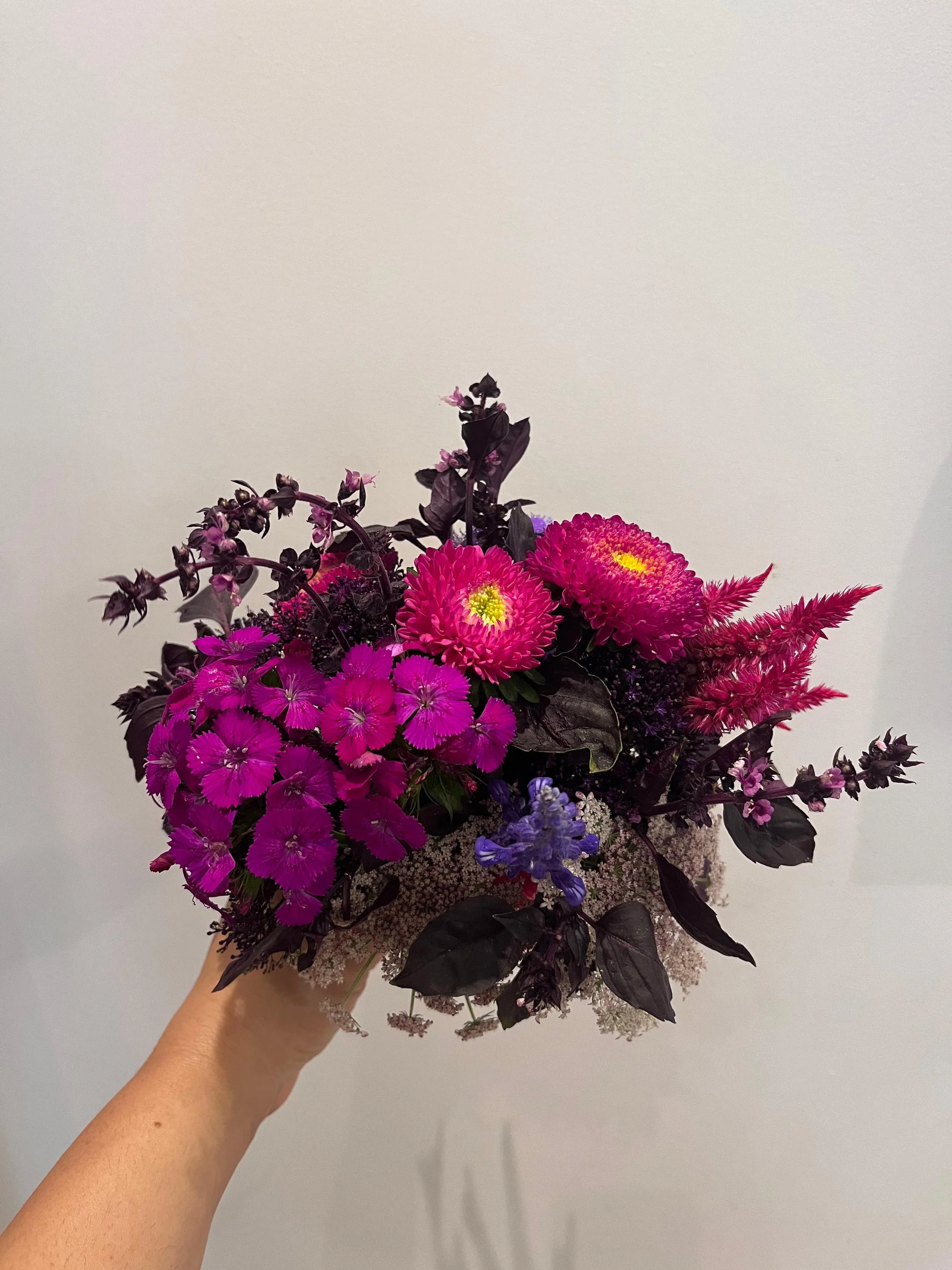 WhatsApp Image 2025-08-29 at 15.38.21 (7).jpeg