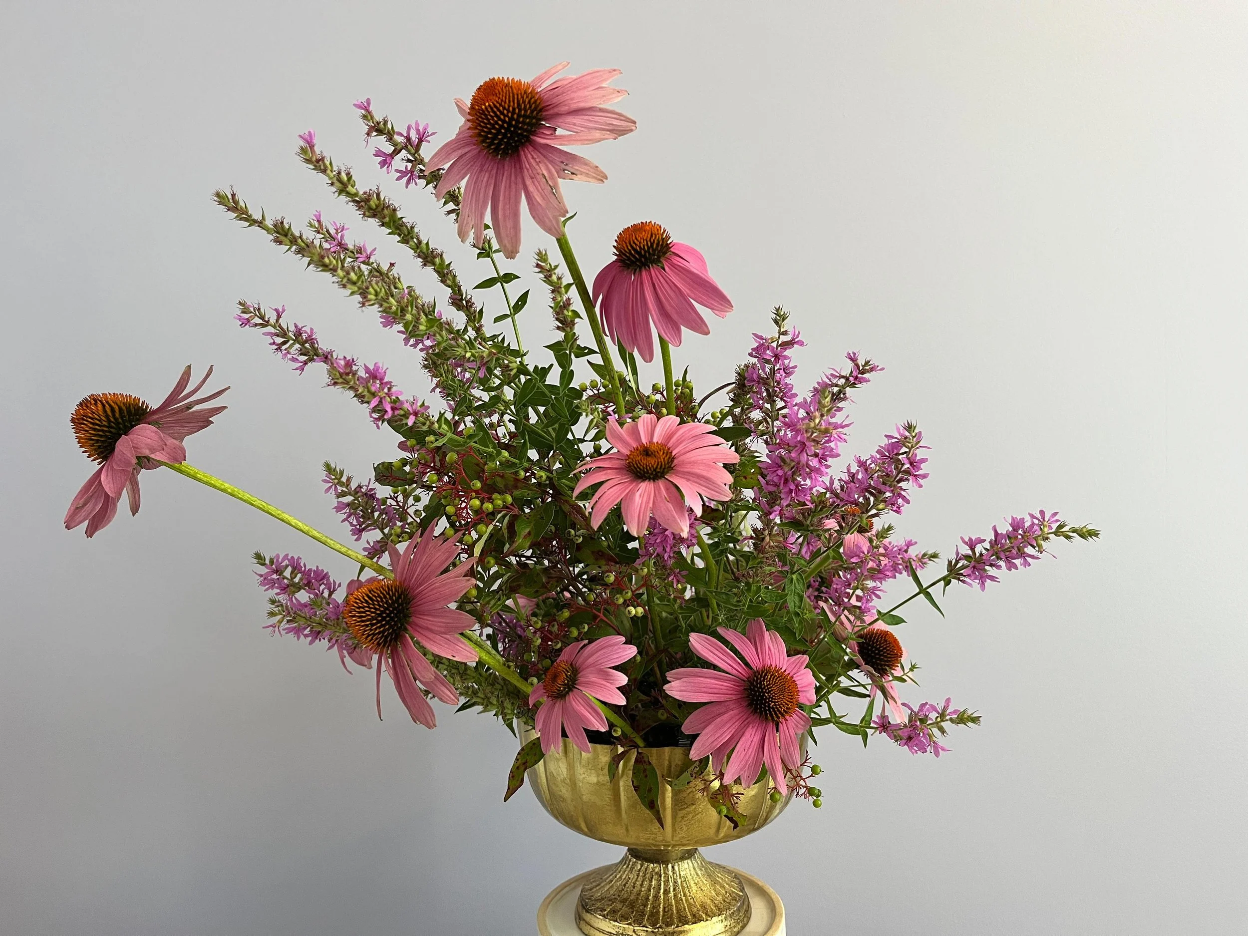 WhatsApp Image 2025-08-29 at 15.26.51.jpeg