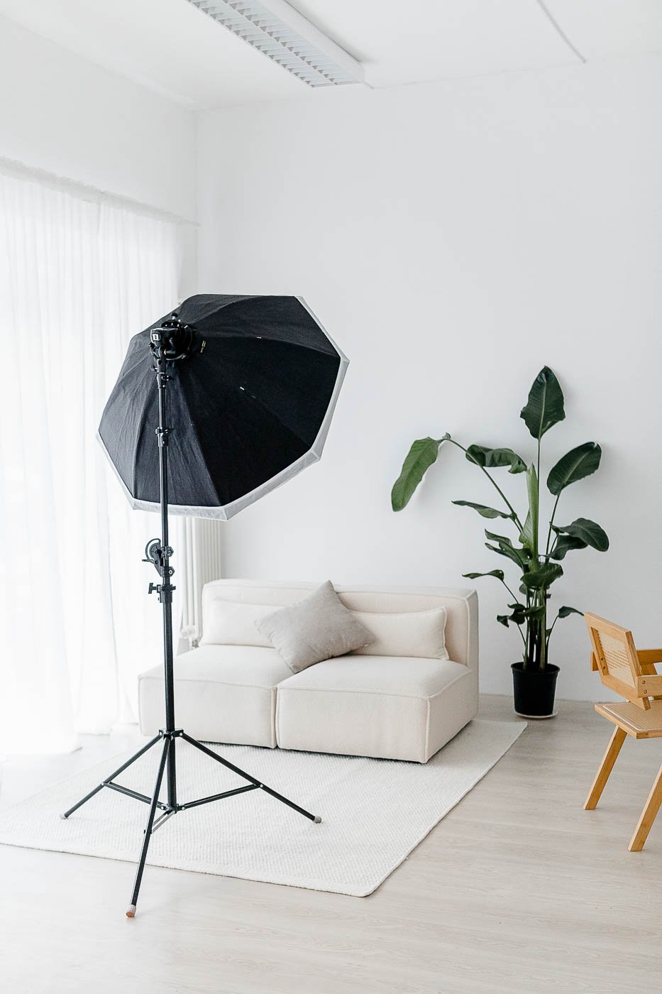 StudioAurea-Mietstudio-Fotogalerie-2025--008_web.jpg