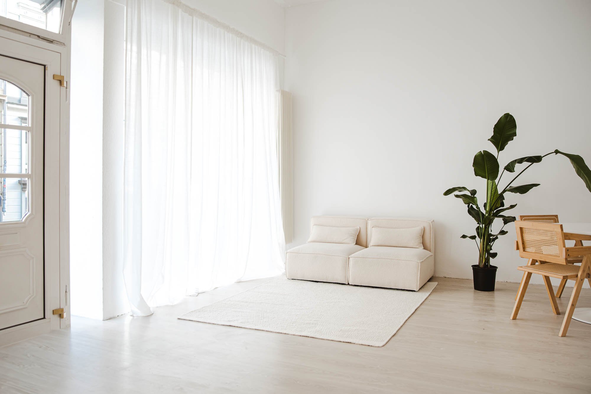 Helles Tageslicht-Studio mit weißen Wänden, weißen Vorhängen, einem weißen Sofa, einem großen grünem Zimmerpflanze und modernen Holzmöbeln.