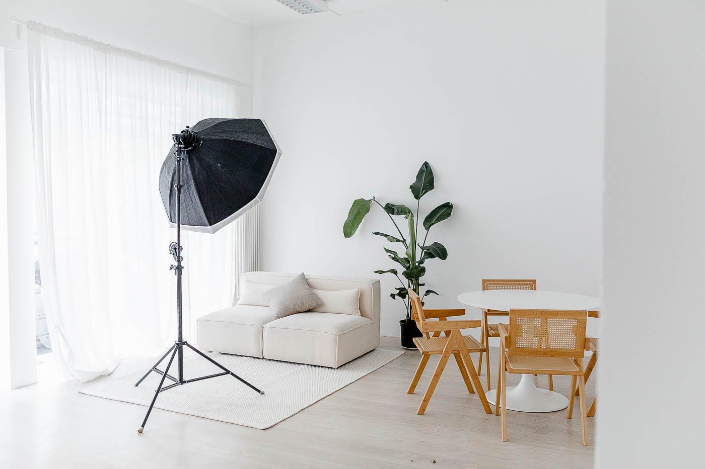 StudioAurea-Mietstudio-Fotogalerie-2025--010_web.jpg