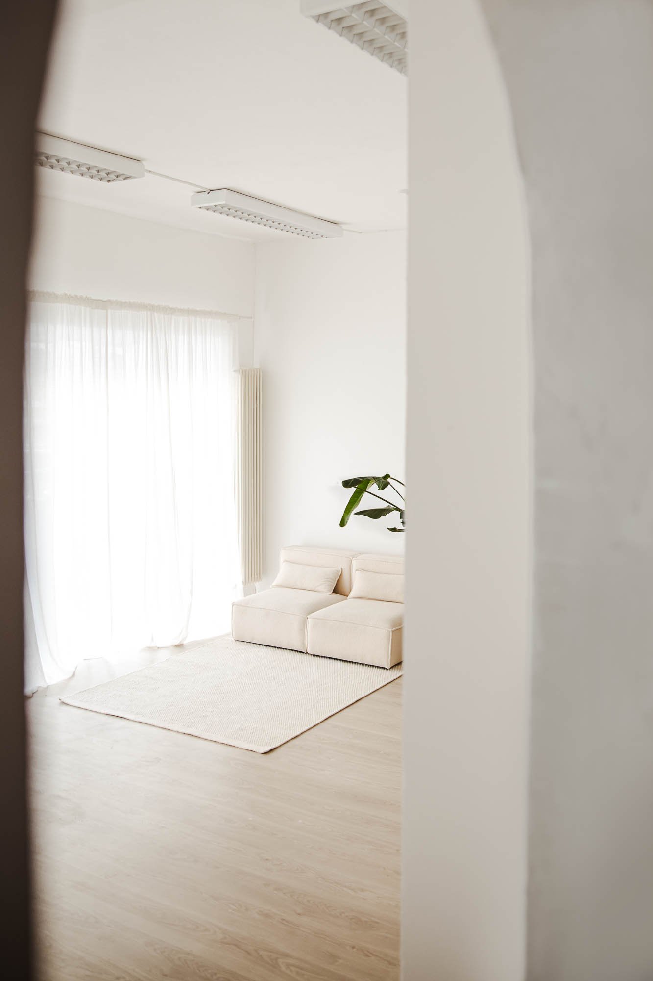 Cleanes und modernes Tageslicht-Mietstudio mit  Sofa, großen Fenstern, Zimmerpflanze und Tisch und Stühlen.