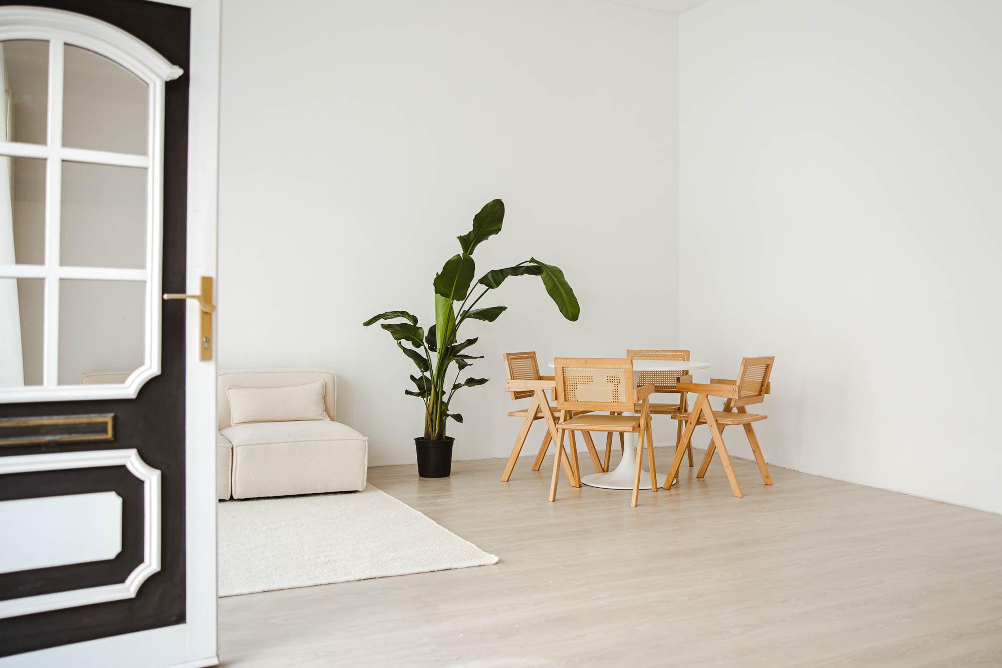 Cleanes und modernes Tageslicht-Mietstudio mit  Sofa, großen Fenstern, Zimmerpflanze und Tisch und Stühlen.