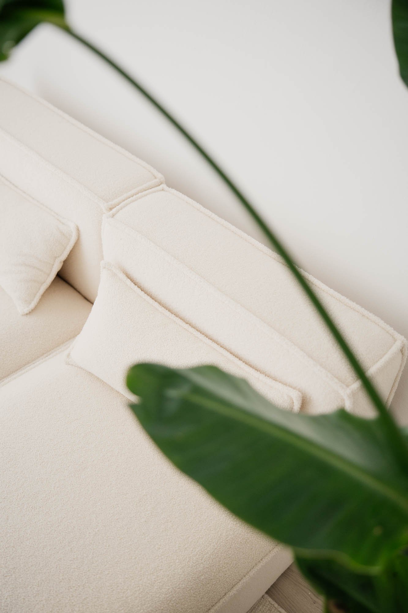Nahaufnahme eines weißen Sofas mit Kissen, teilweise verdeckt von großen grünen Blättern.