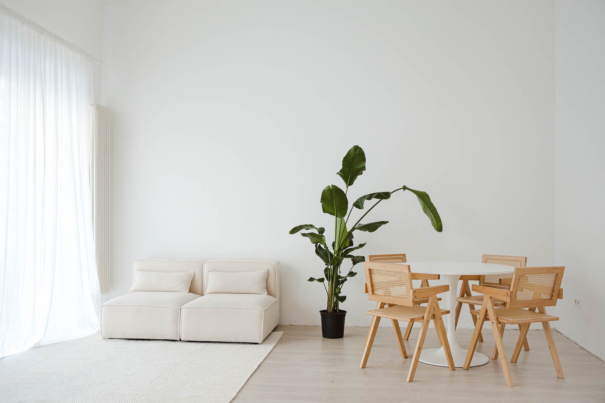 Modernes, minimalistisches Studio mit weißem Sofa, großen Fenster mit Vorhängen, grüner Zimmerpflanze und einem runden weißen Tisch mit vier Holzstühlen.