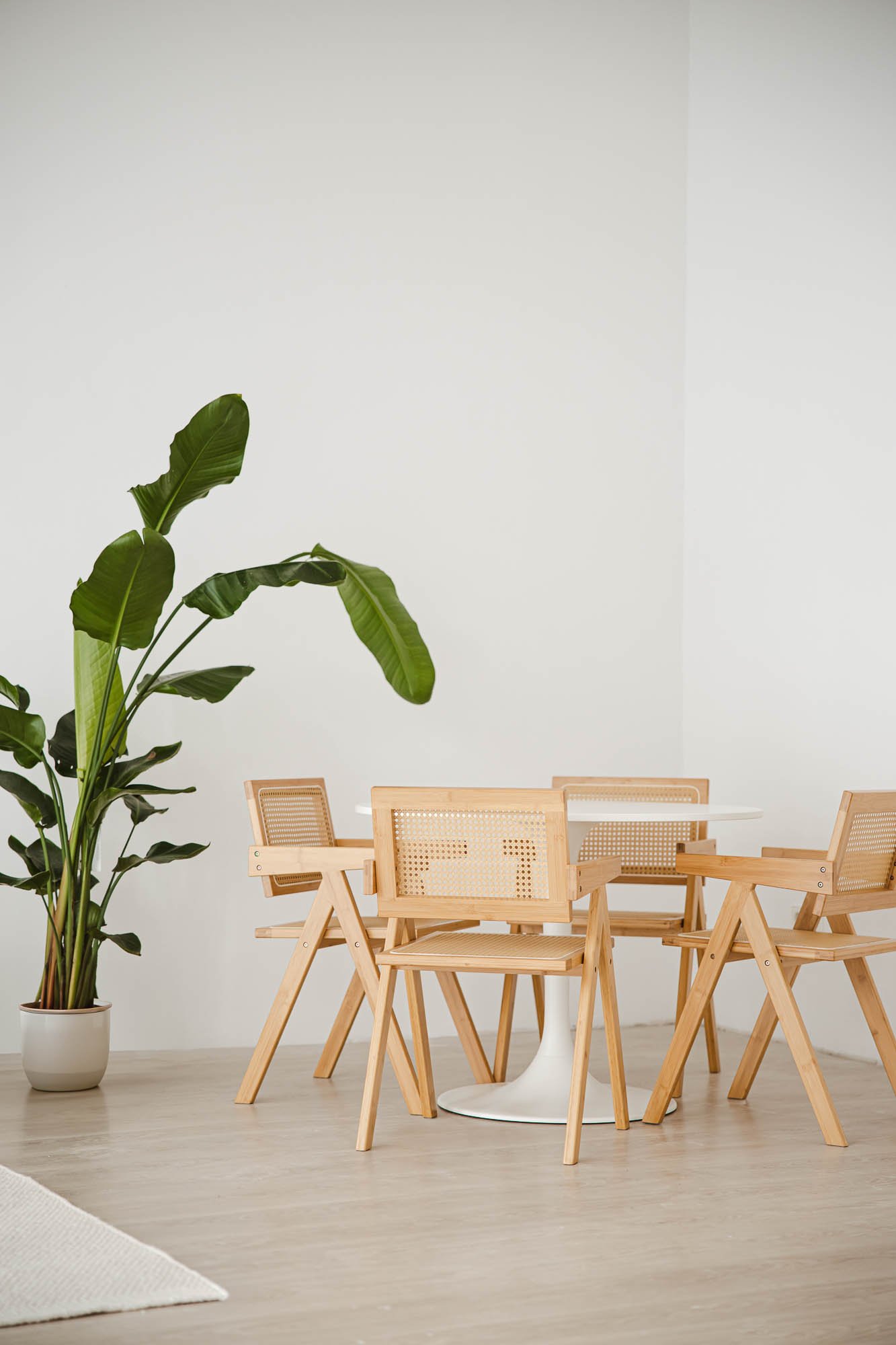 Moderner Arbeitsbereich mit vier Holzstühlen und einem weißen Tisch, daneben eine große Zimmerpflanze, weiße Wände und ein heller Holzboden.