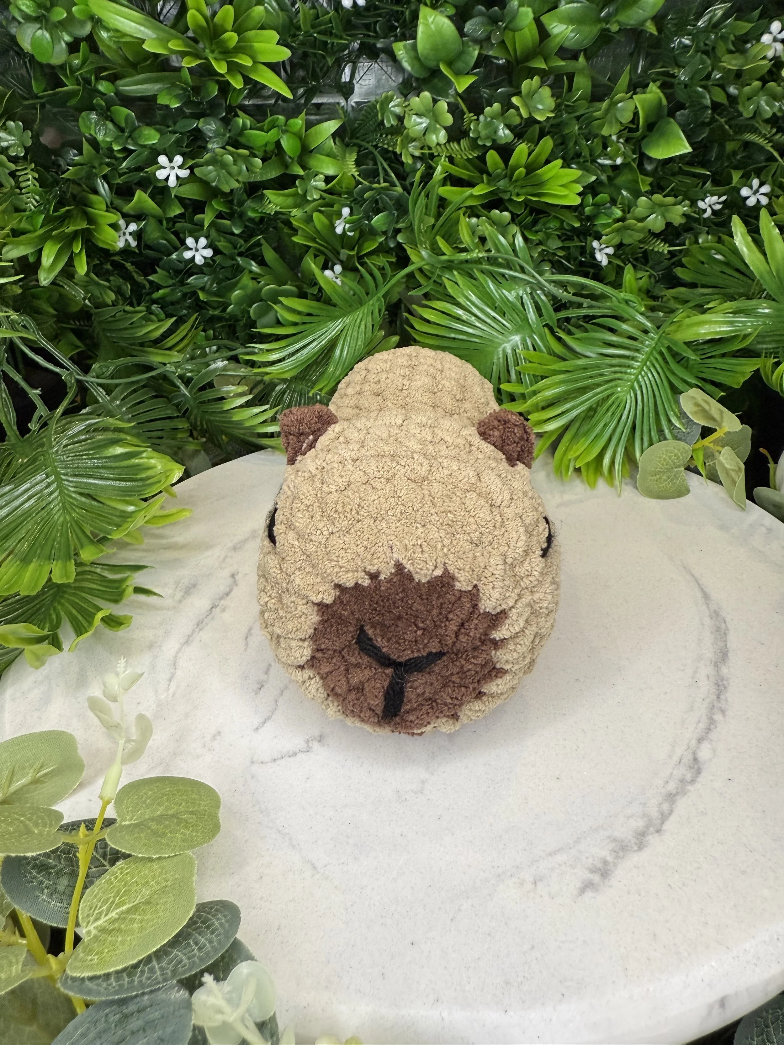 Capybara - front.jpg