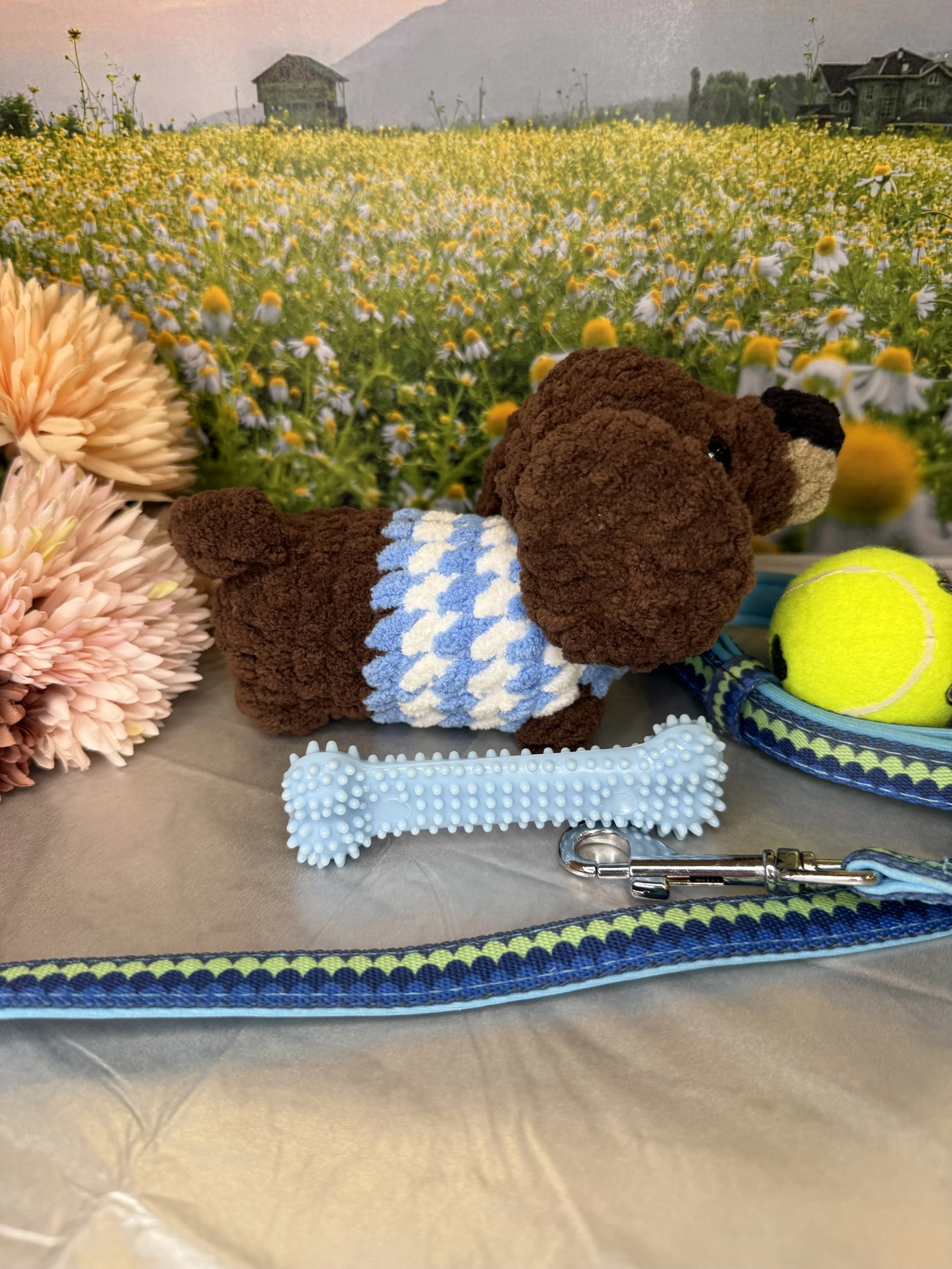 Dachshund - side.jpg