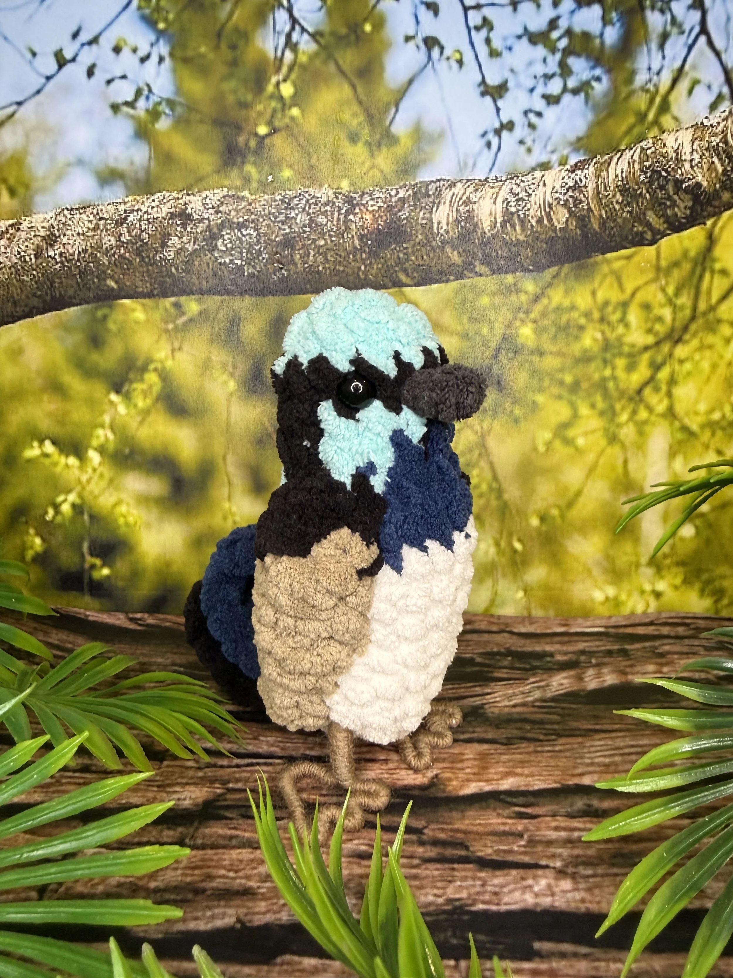 Fairy Wren angled 2.jpg