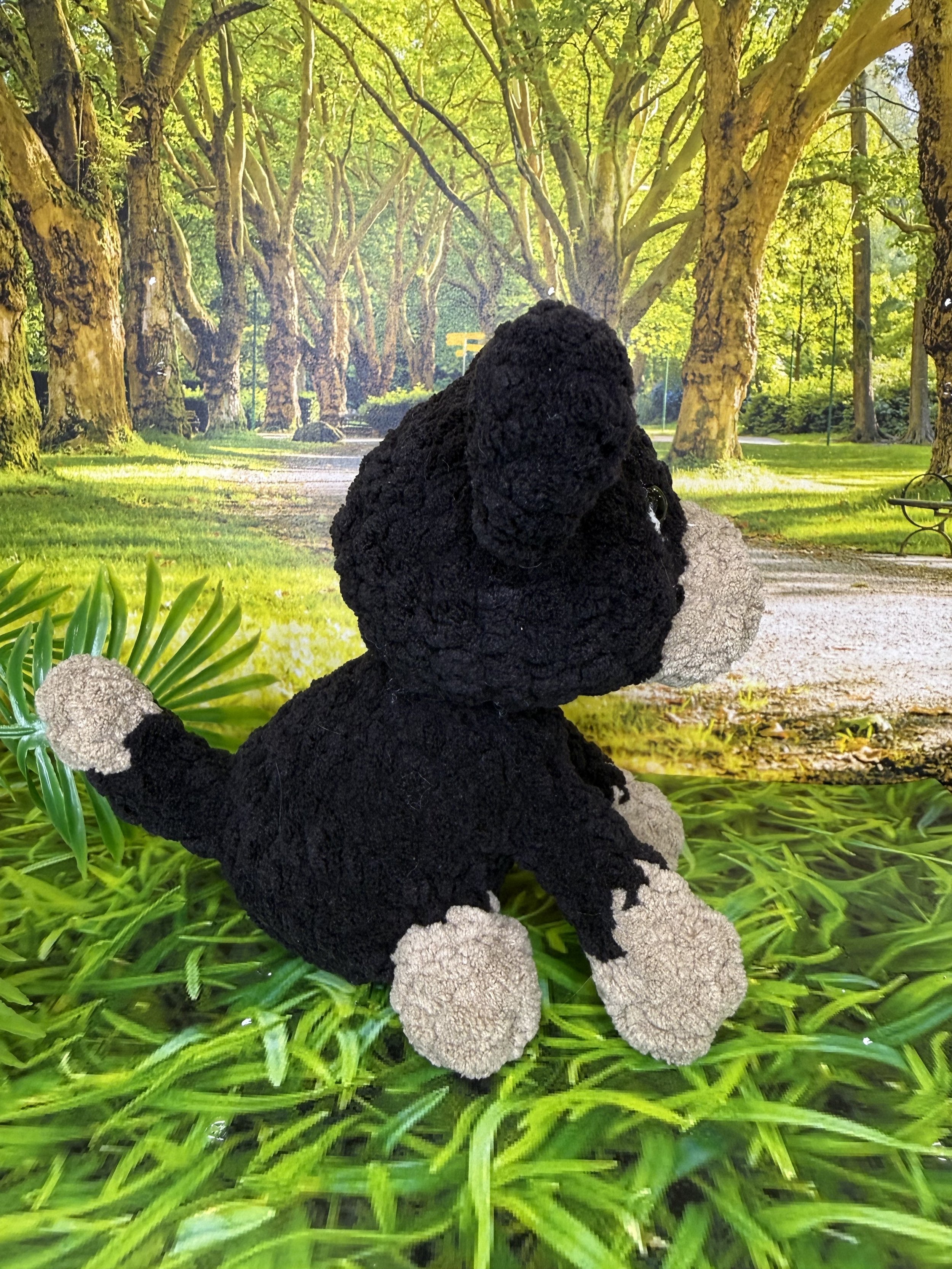 Black and tan kelpie side.jpg