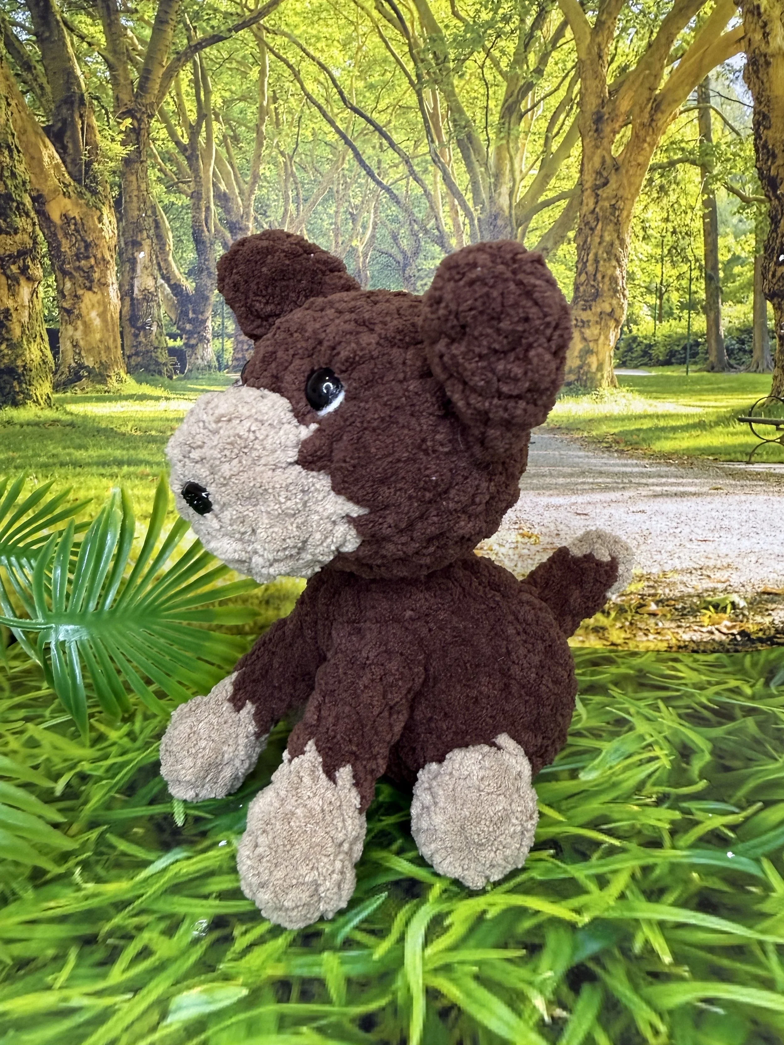 Brown and tan kelpie angled.jpg