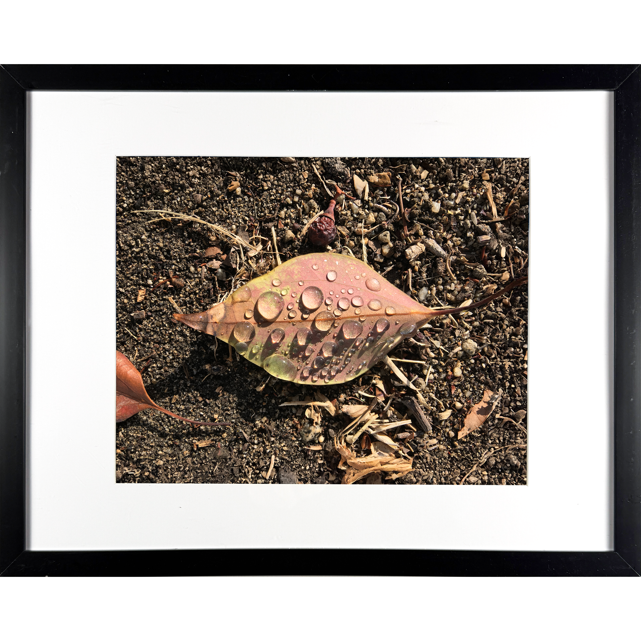 The Great Valley 15"w x 12"h