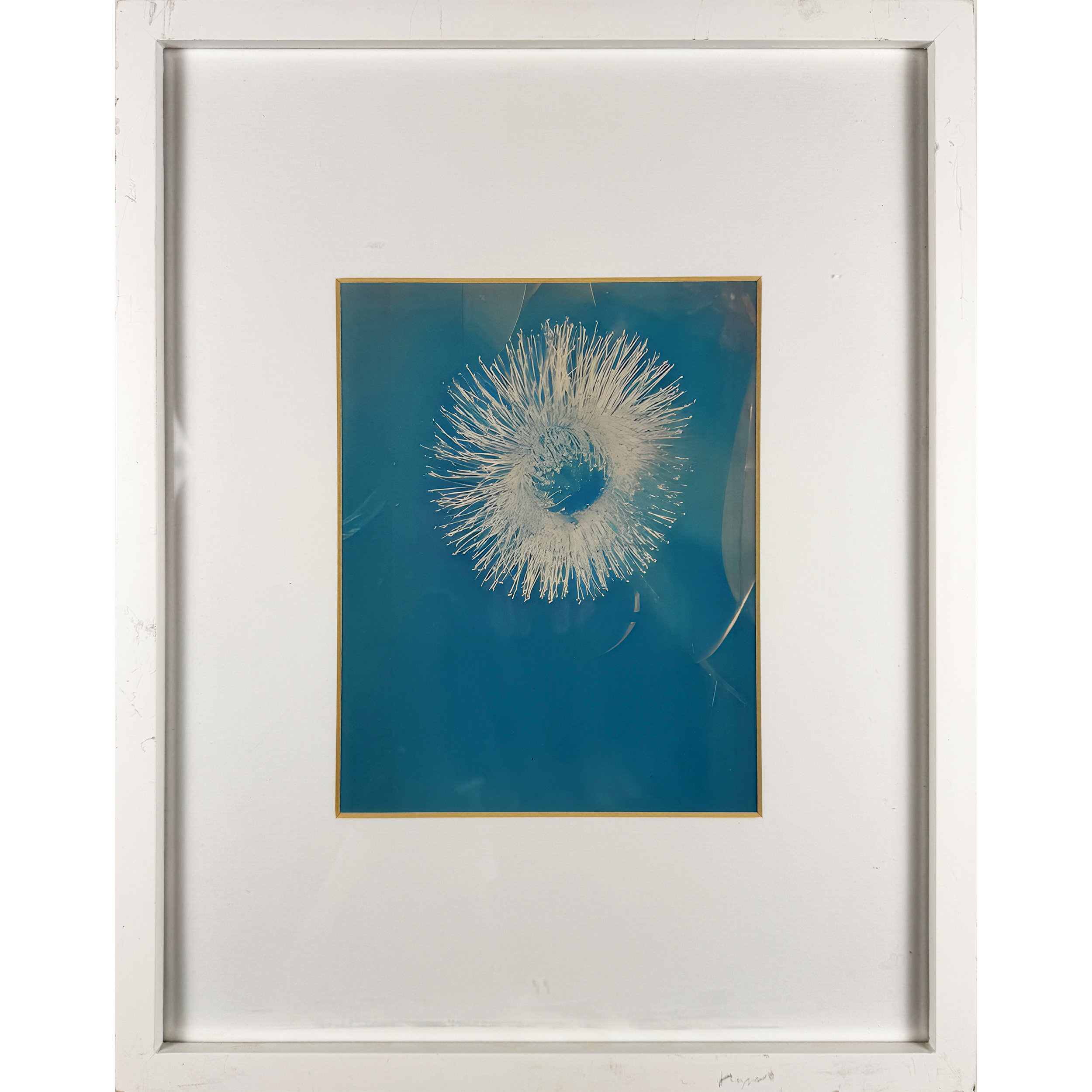 Blue Dandelion 15"w x 19"h