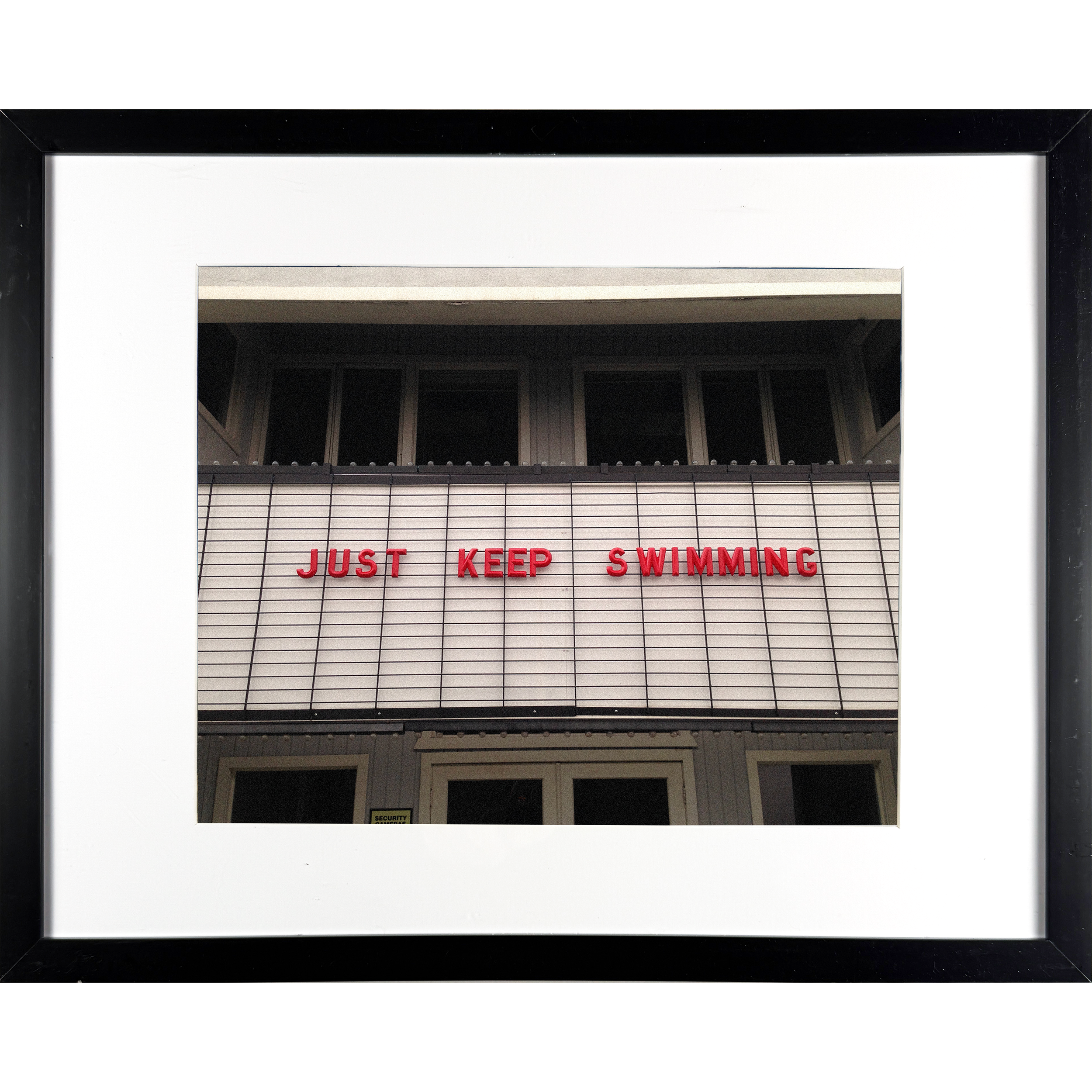 Swimming Marquis 15"w x 12"h