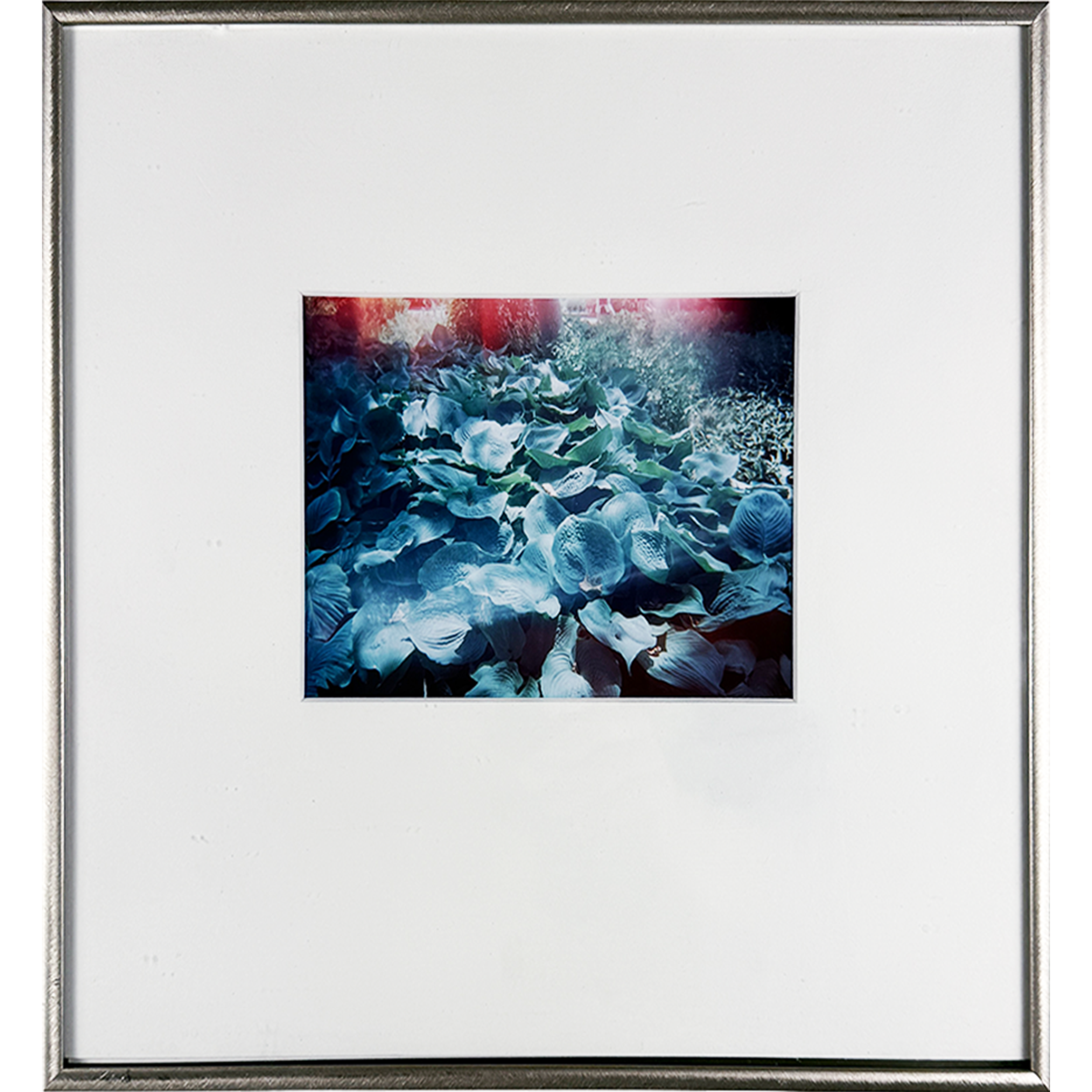 Lillypad 12"w x 13"h