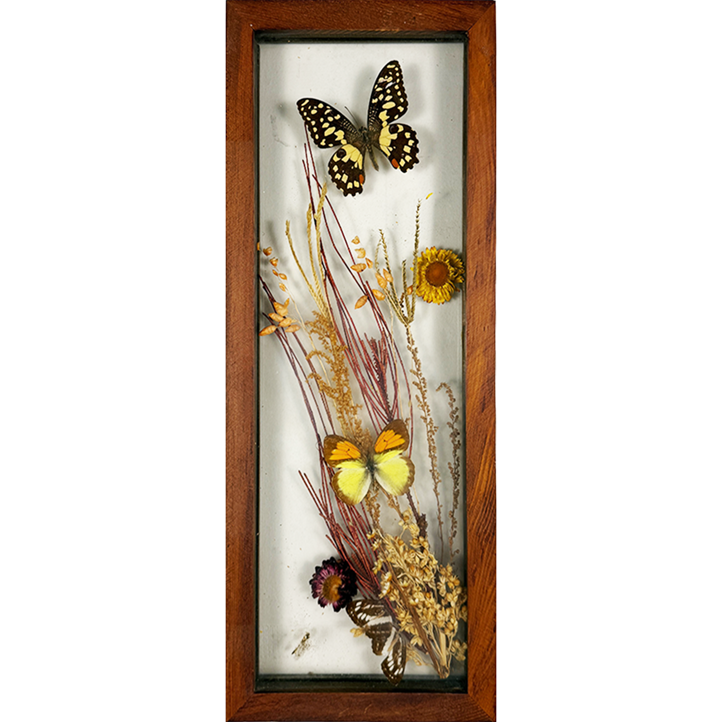 Butterfly Garden 6"w x 16"h