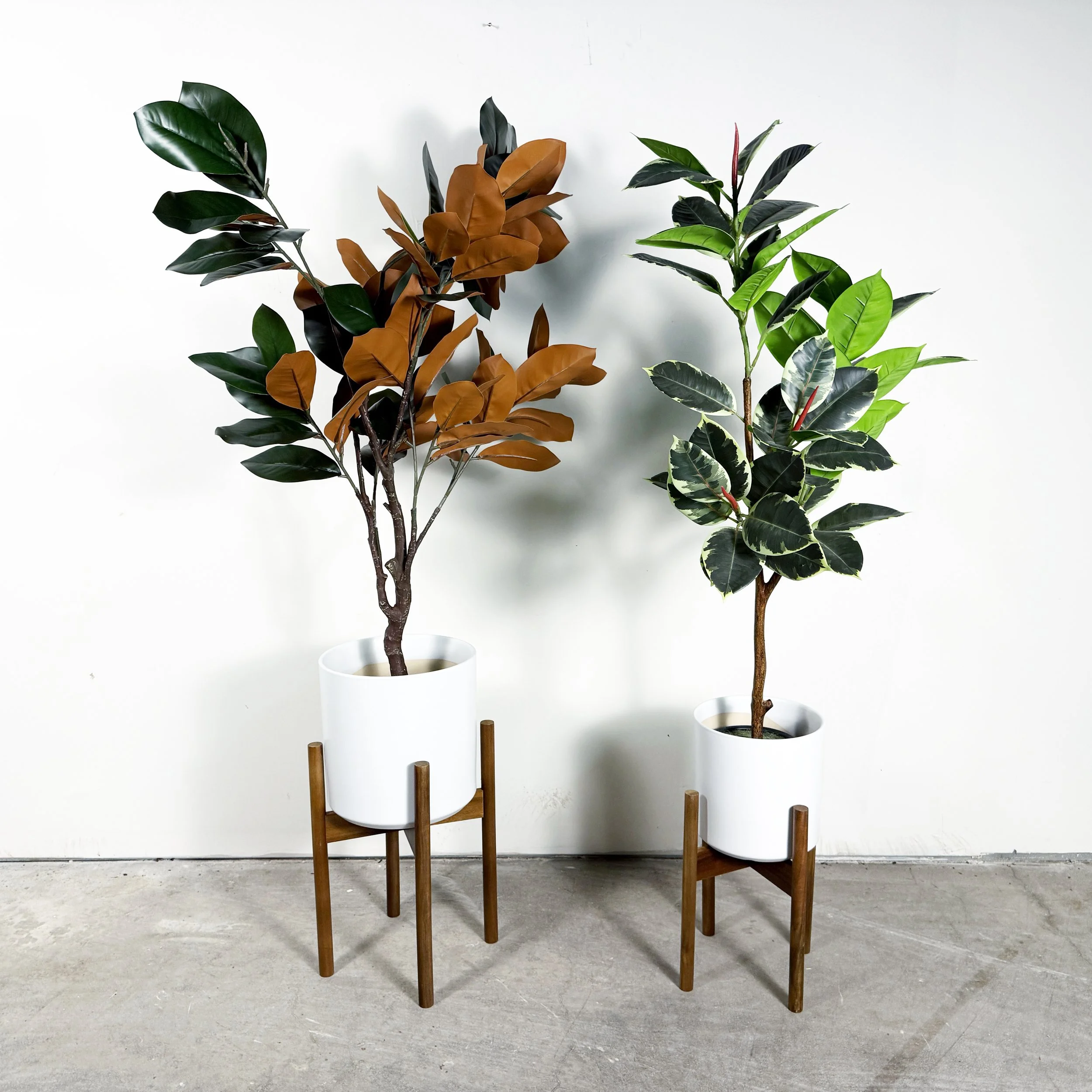 Mid Mod Potted Plant Set with Wooden Stands