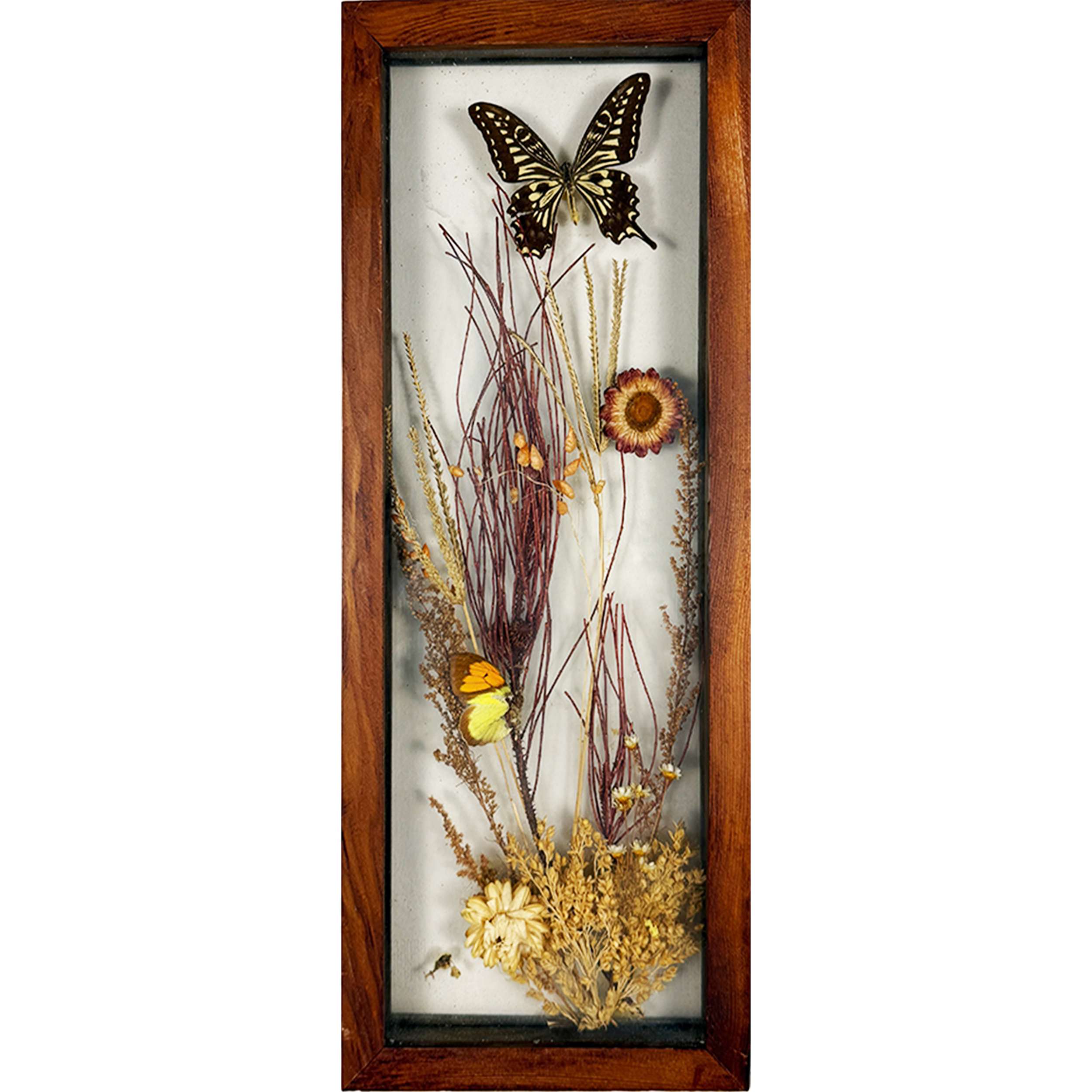 Butterfly Garden 6"w x 16"h