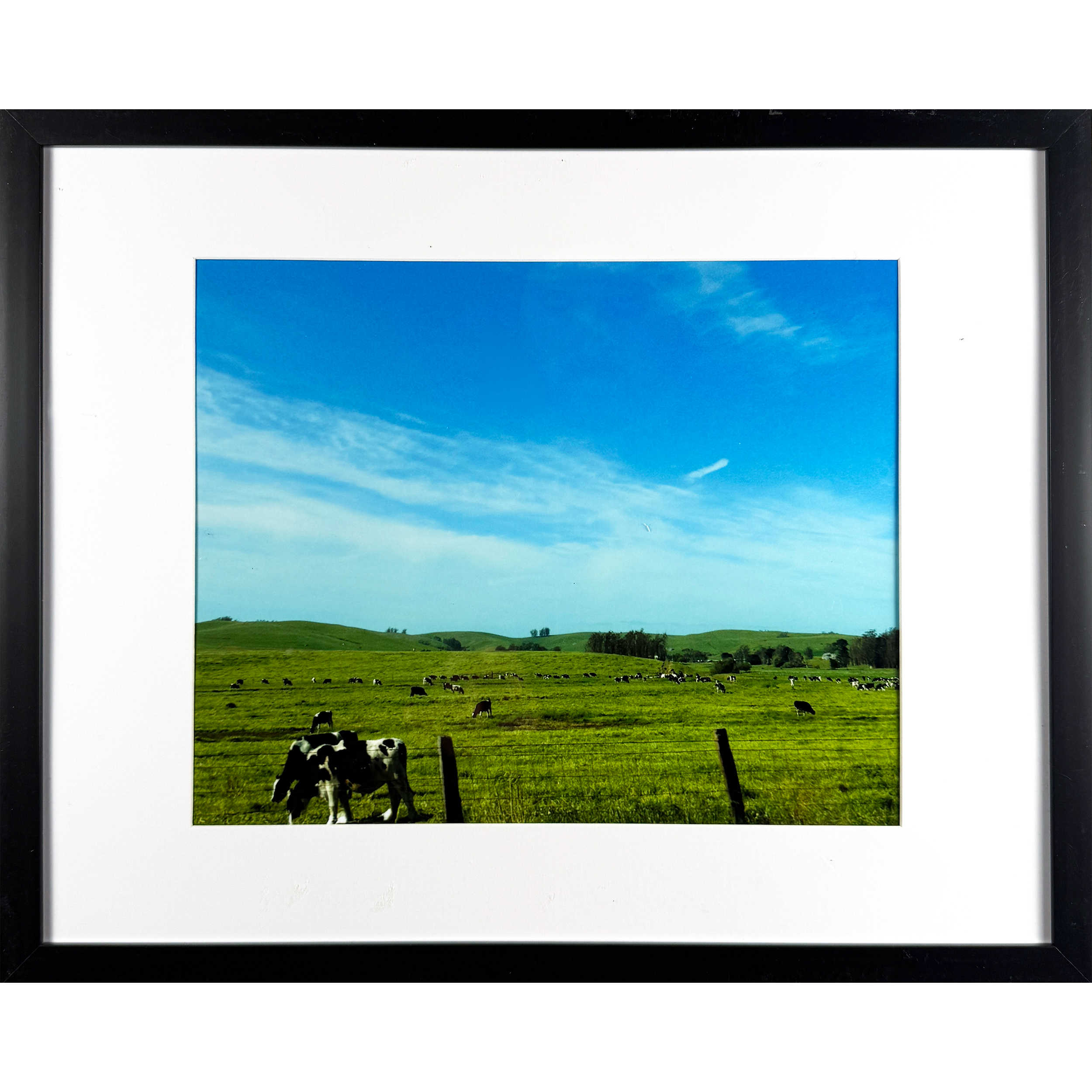 Green Pasture 15"w x 12"h