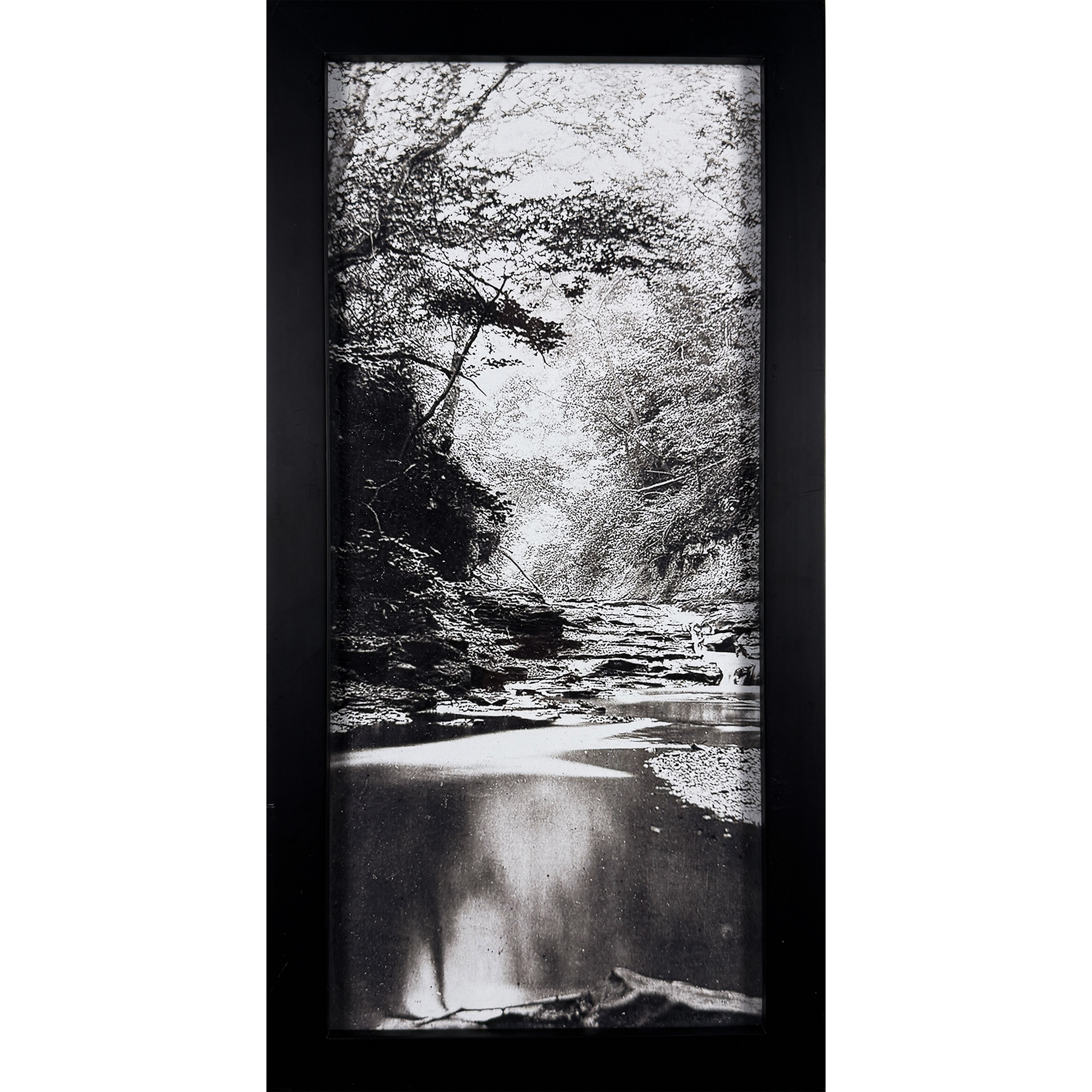 Black and White Creek Photo 10.5"x 20"h