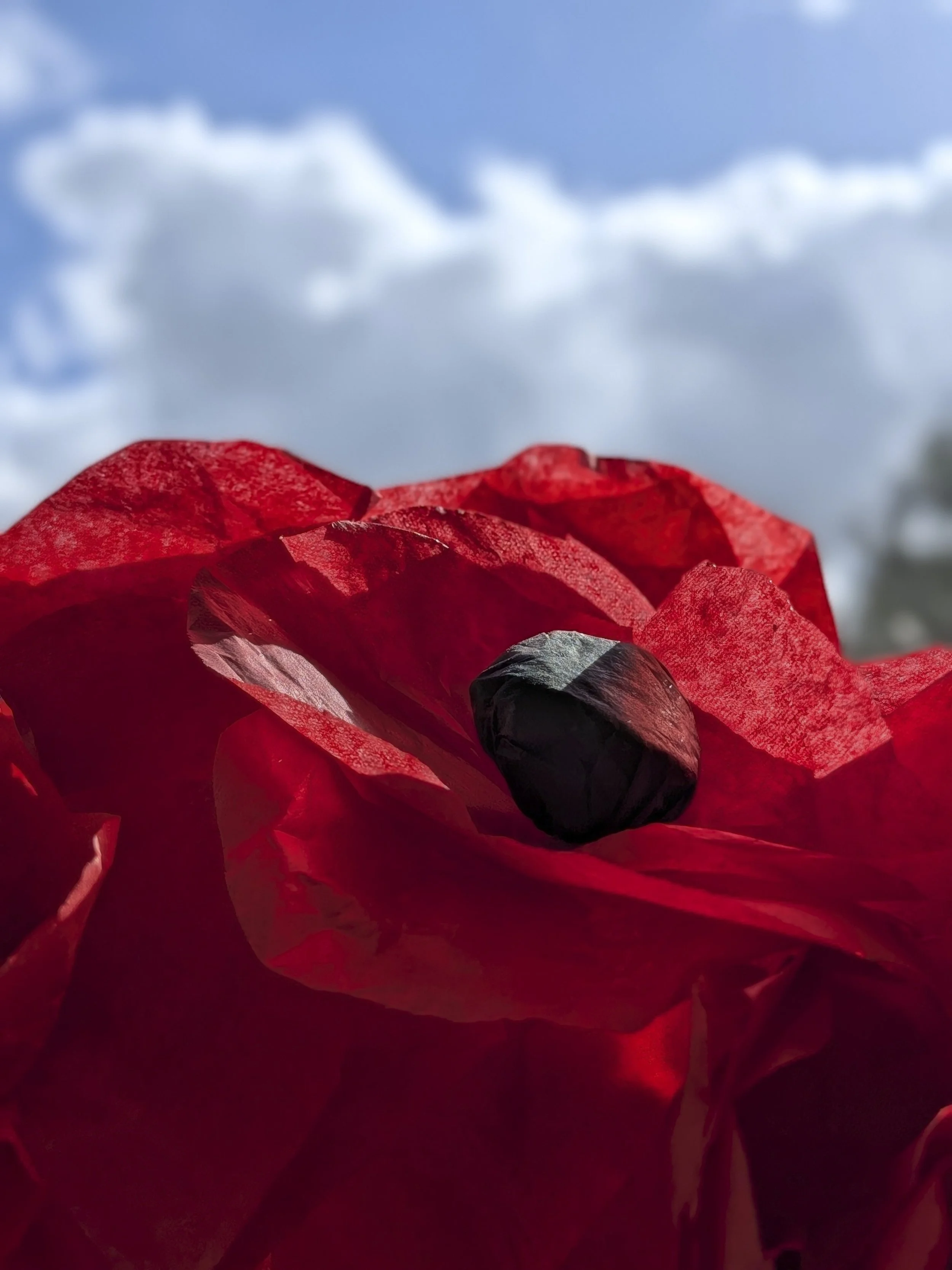 REMEMBERANCE DAY SERVICE