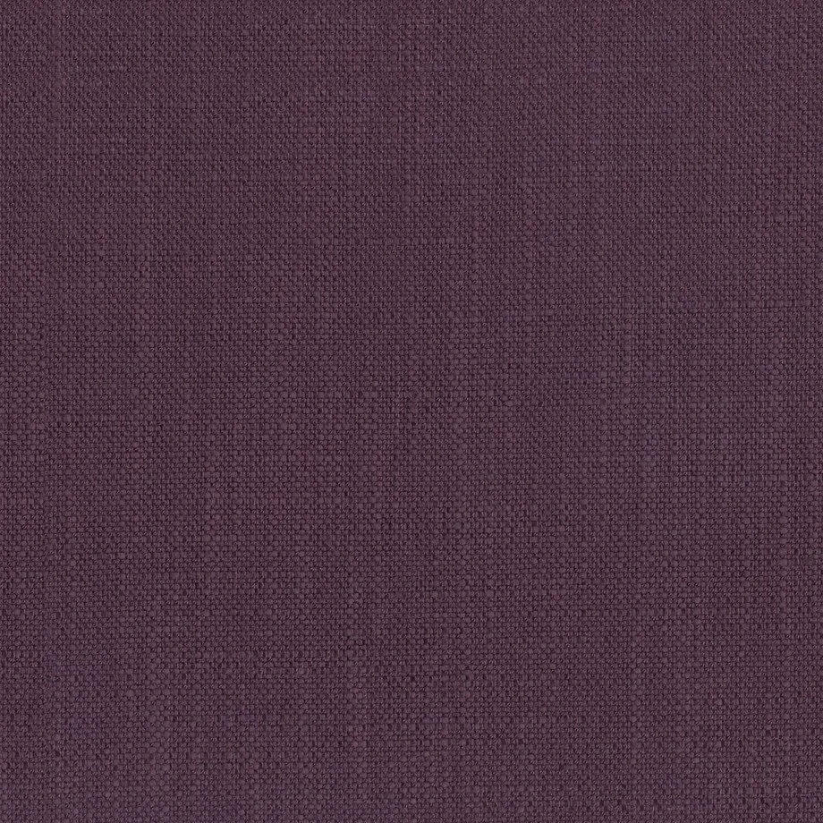 darwin 13_plum_2_EXCL.jpg