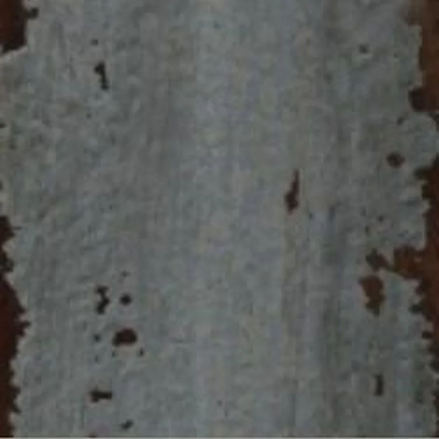Picoc-Bramble_MAR Martinique.jpg