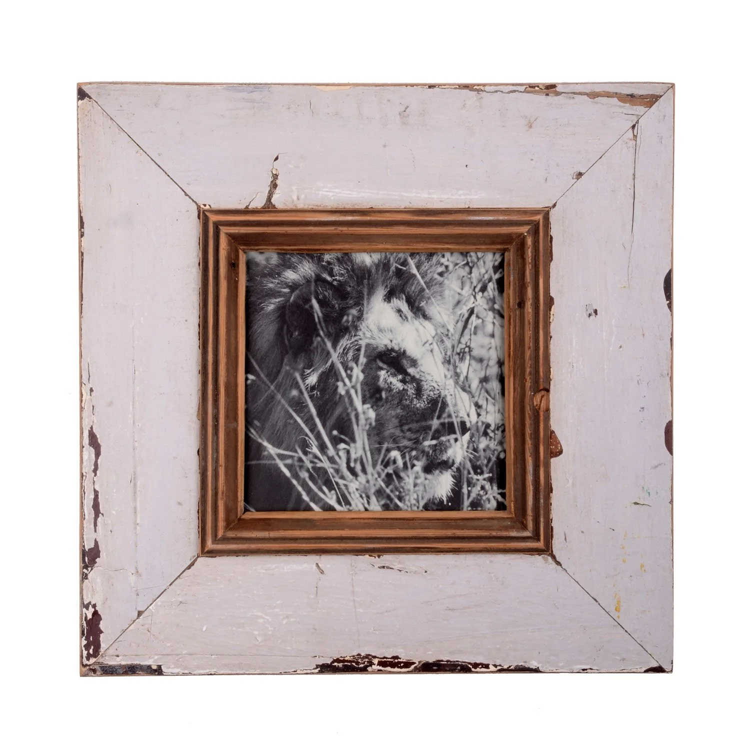 karoo-ASC_4567_ShiftN.jpg