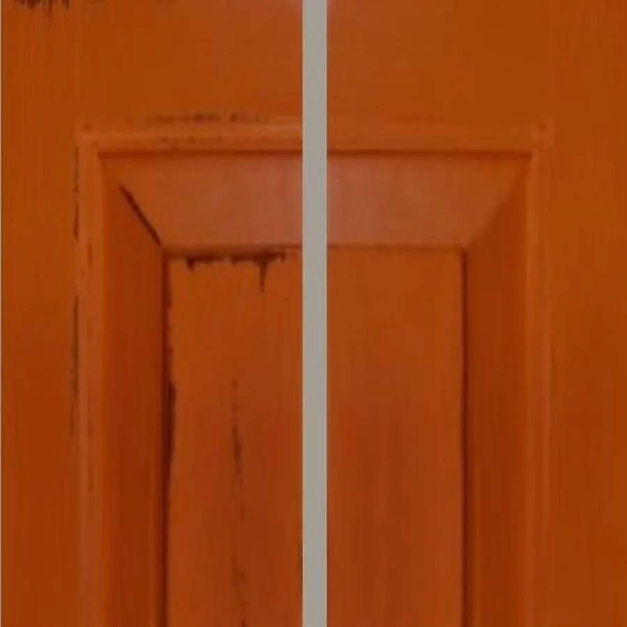 Picoc-Bramble_ORG LOR Orange.jpg