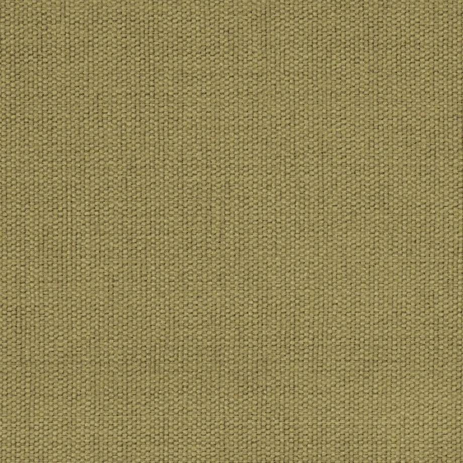 VERA AM 374 BEIGE.jpg