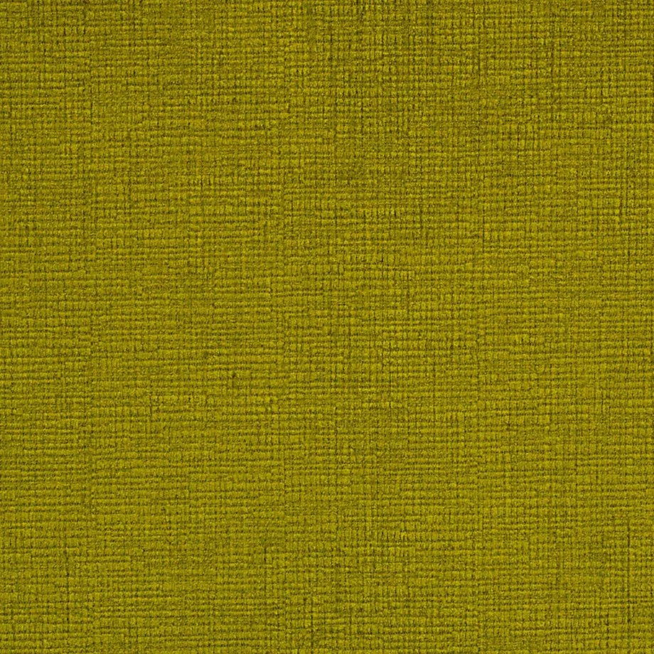 adeno 36 GREEN.jpg