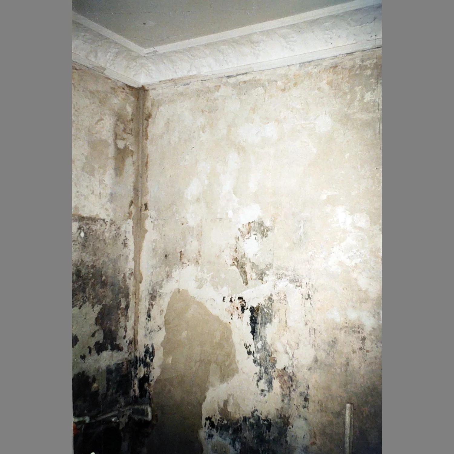 Rykestrasse49-Exedra_1133.jpg