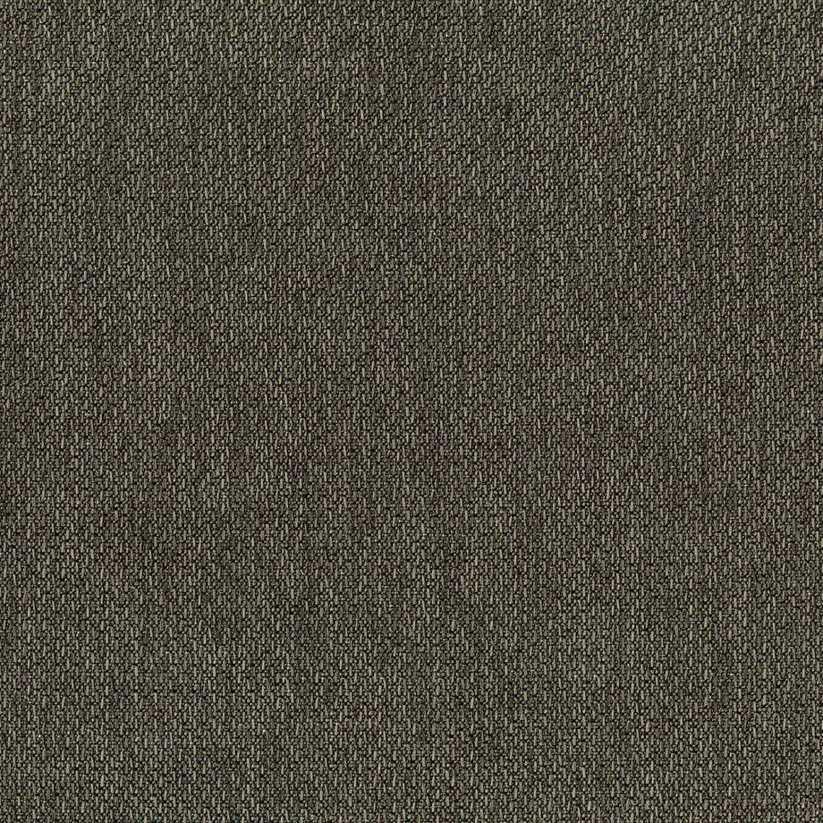 himalaya_8d.brown_.jpg