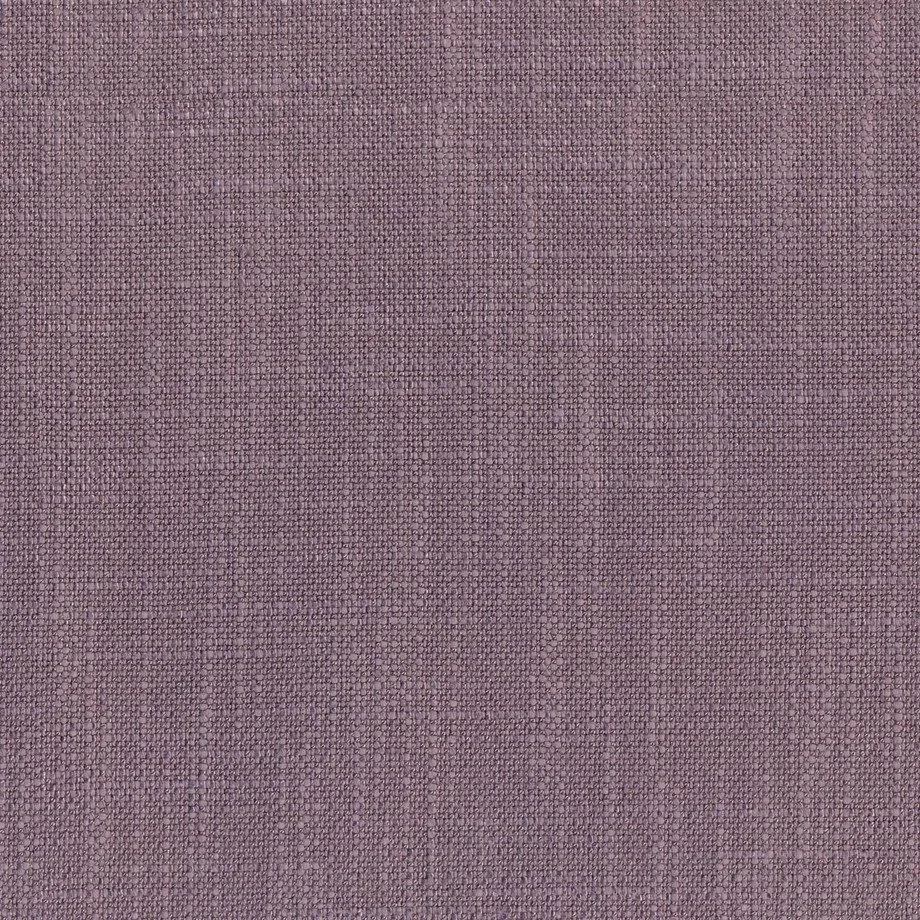 darwin 16_violet_EXCL.jpg