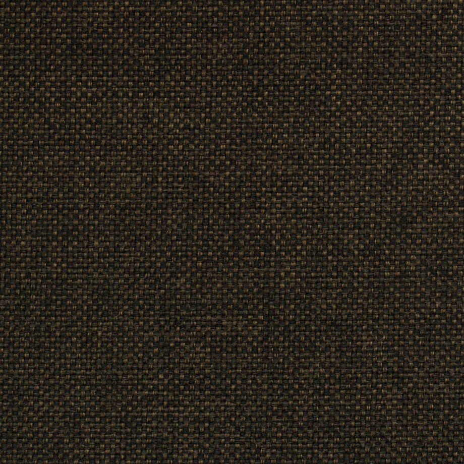 PACA G4V6 D BROWN.jpg