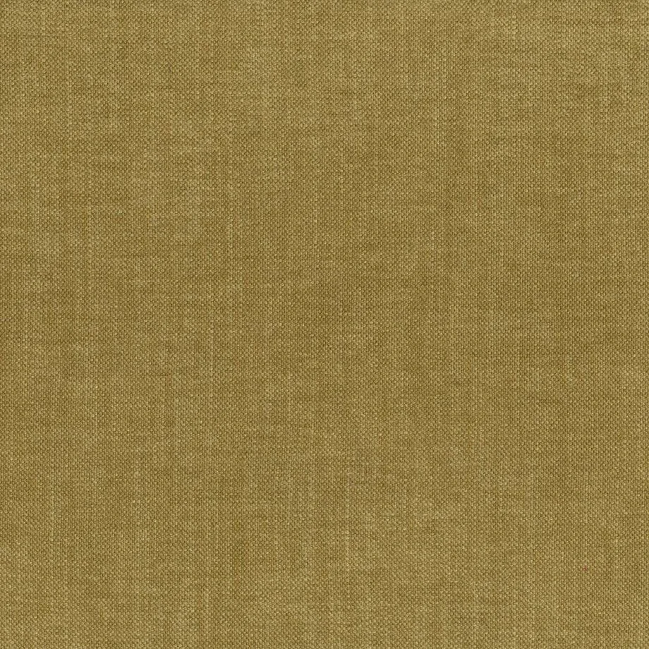 CALEIDO_2998_camel_0.jpg