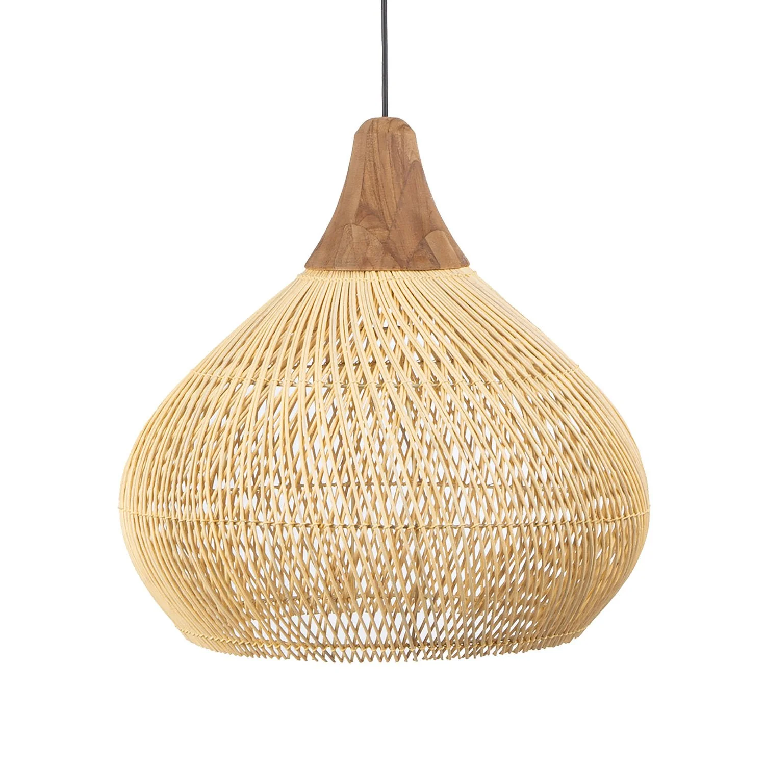 D-Bodhi_LBL2011N-Bright.jpg