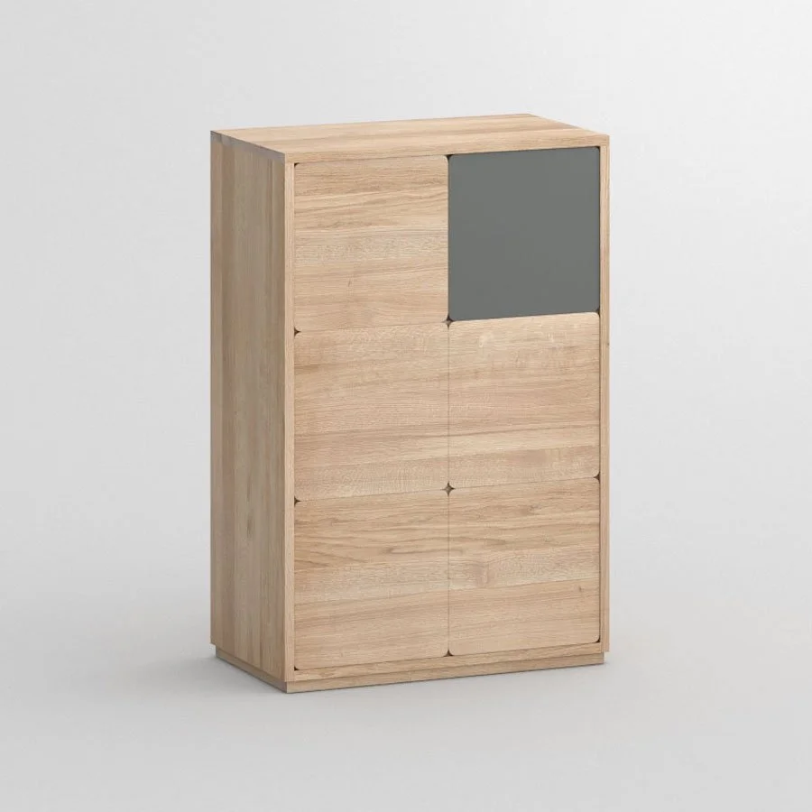CAVUS-MID_2.5_K6_89x42x131_EIWKO_C_CSO4_MDF-SLG_cam1.jpg