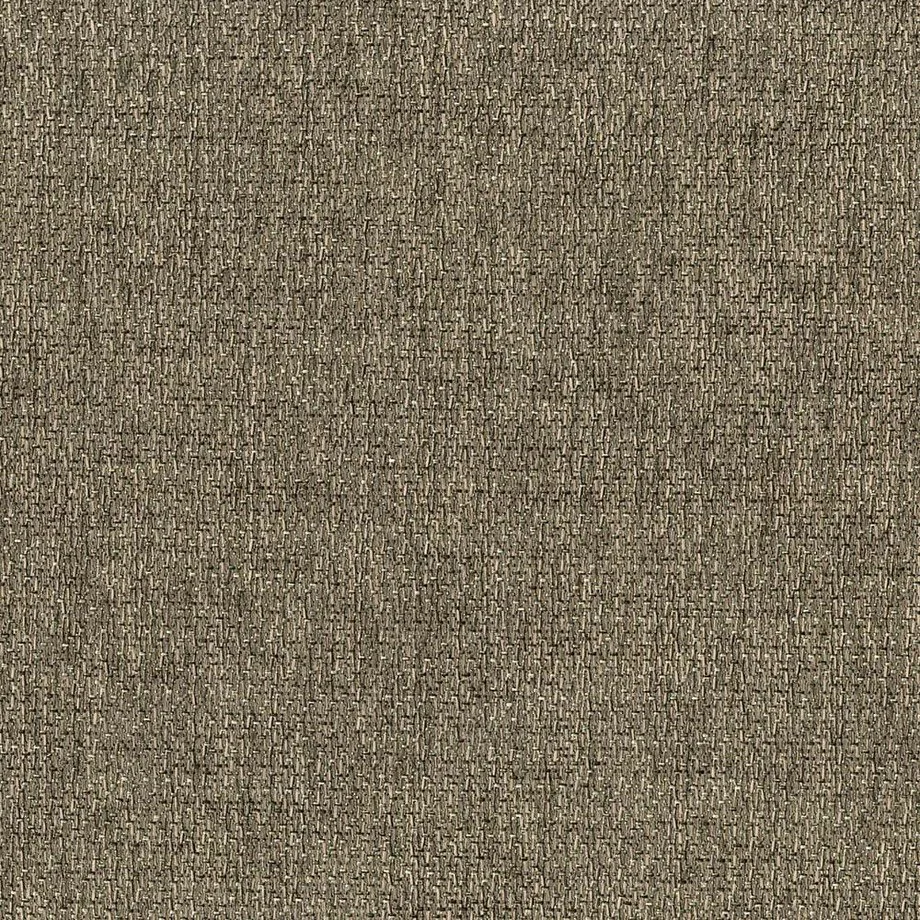 himalaya_5brown.jpg