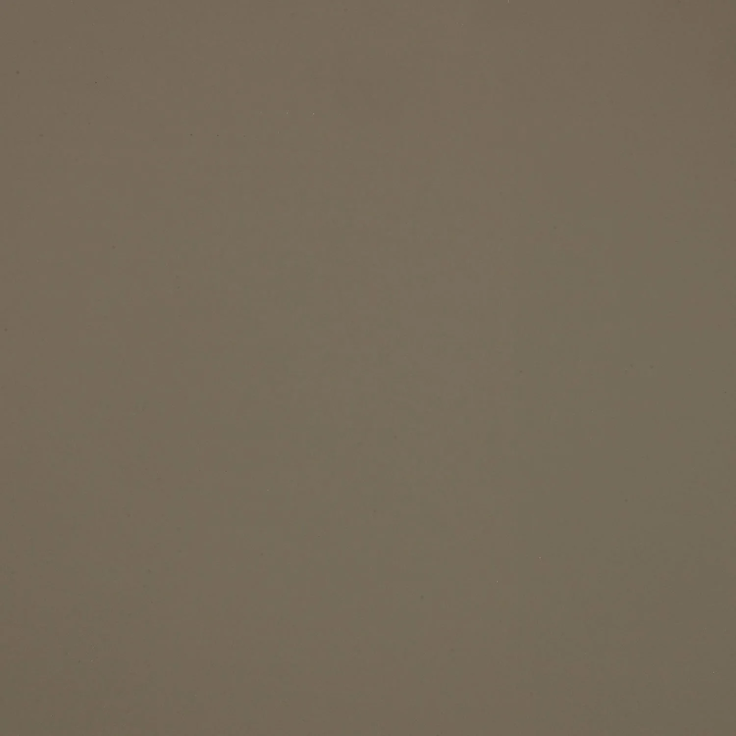 FENIX_0717_CASTORO_OTTAWA.jpg