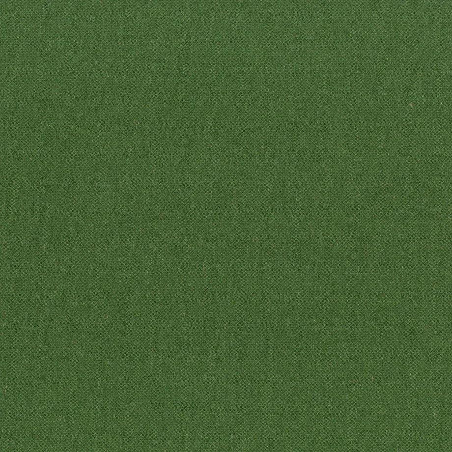 luis_35 green.jpg