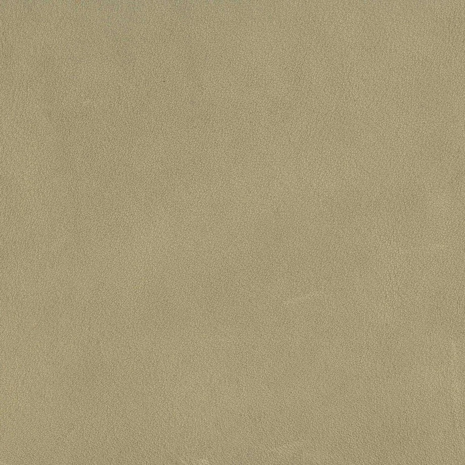 aniline_sand_EXCL.jpg
