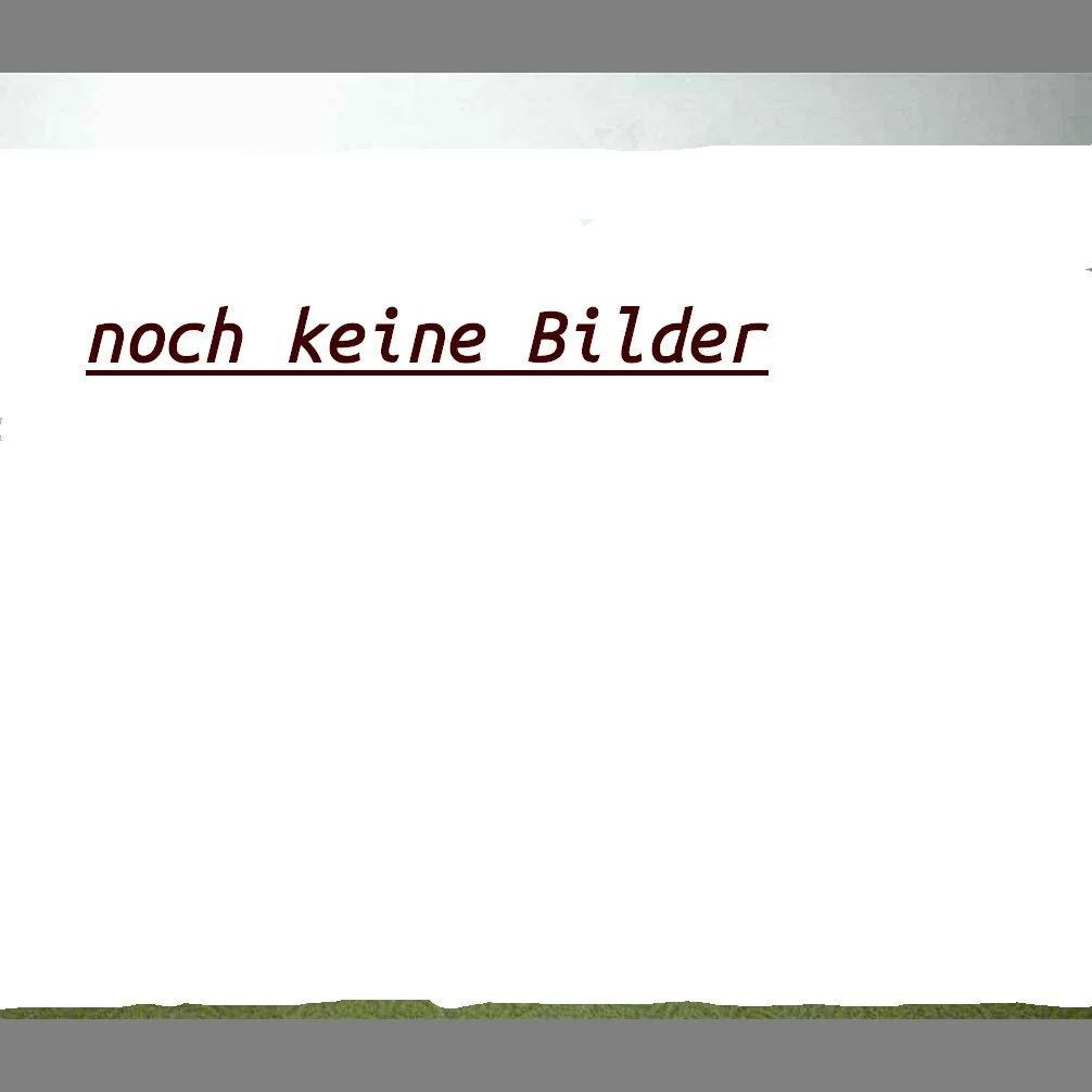 noch-keine-Bilder.jpg