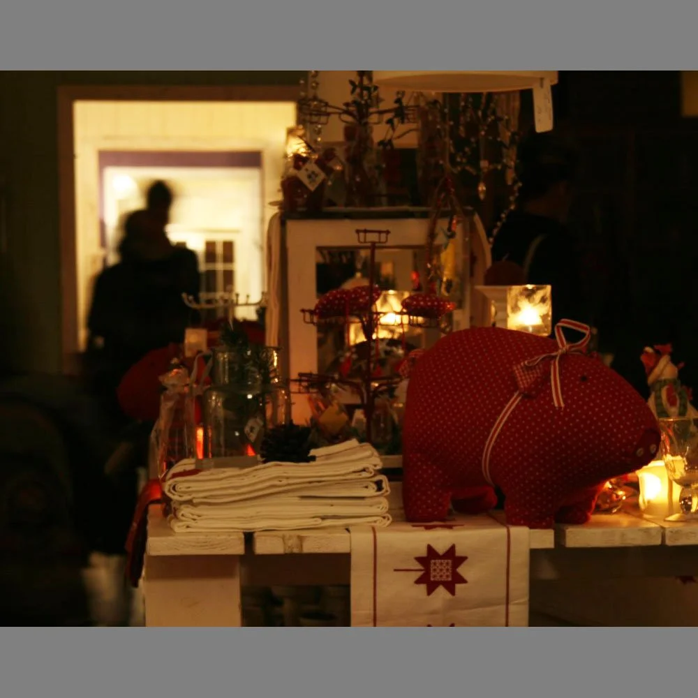 2008-lichterfest-exedra_weihnachtsau.jpg