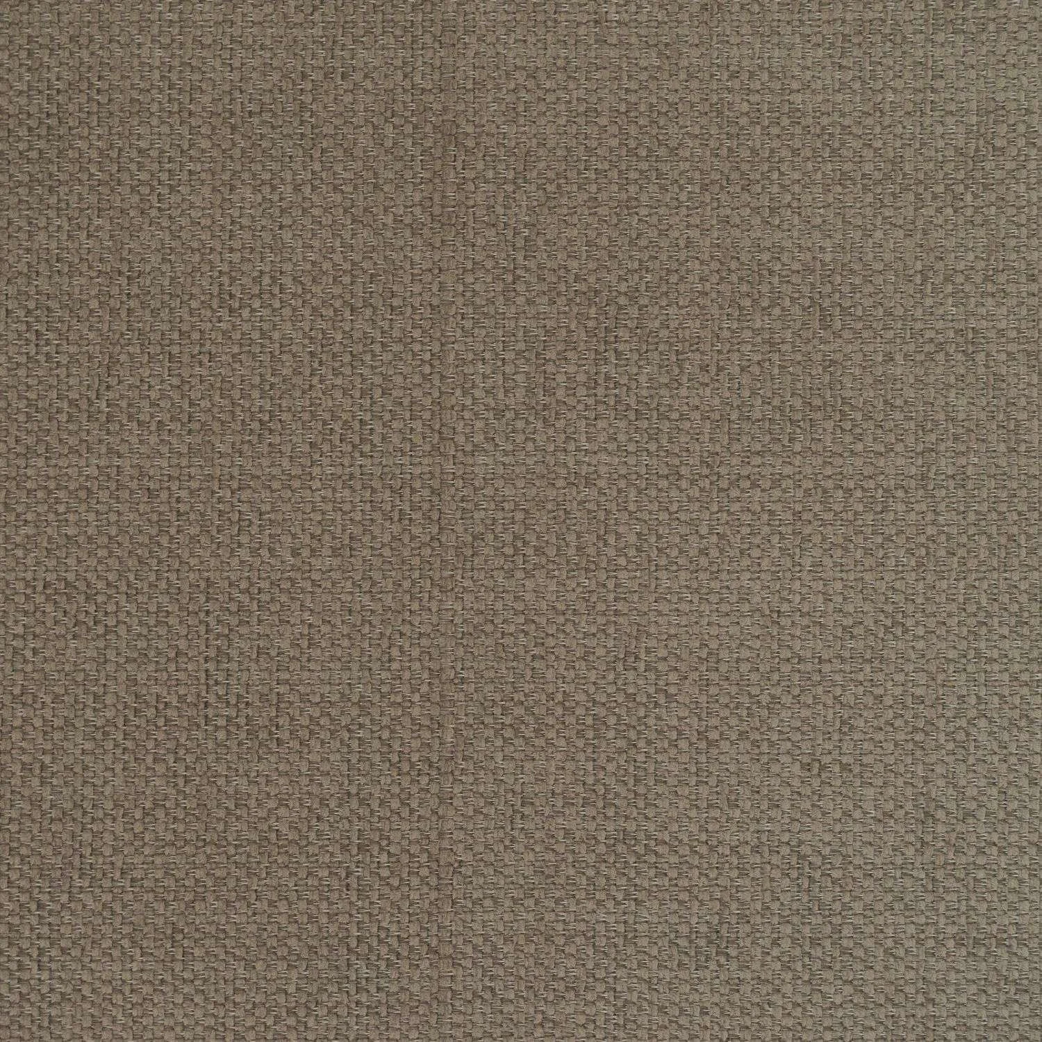 Tray Nr. 10.jpg