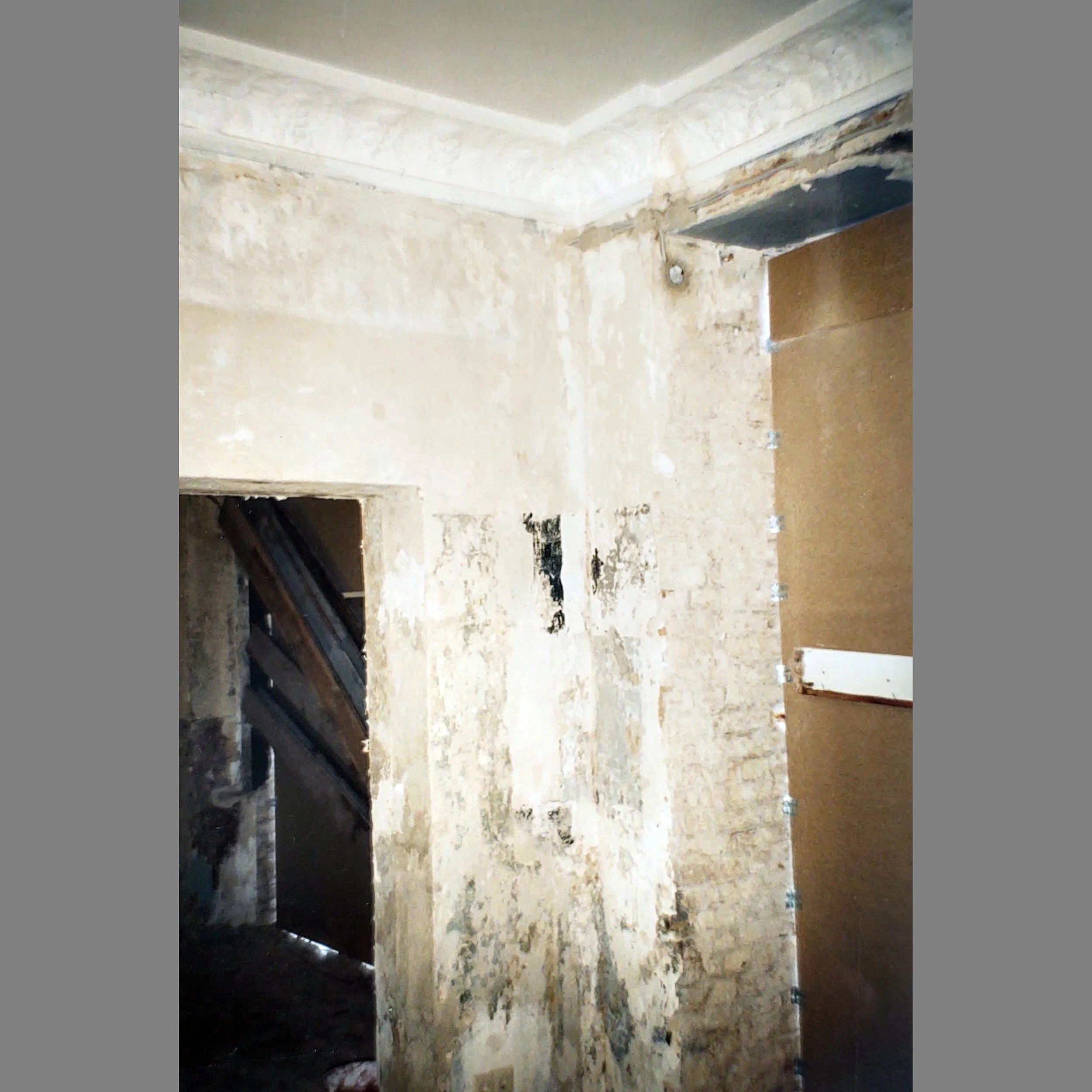 Rykestrasse49-Exedra_1131.jpg